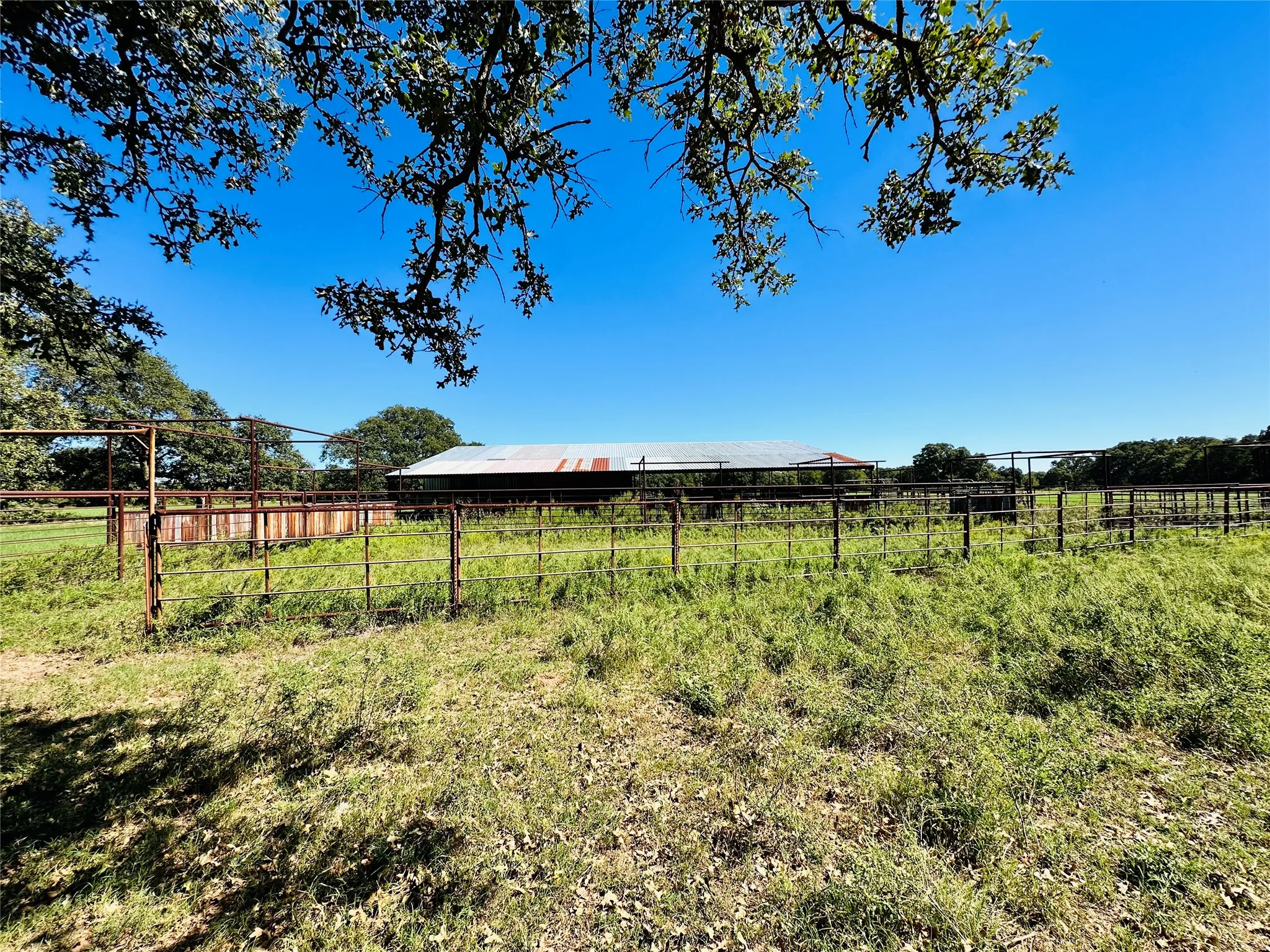 Improved Land For Sale in Callahan County , 8593 State Highway 36 E, Cross Plains, Texas 76443, 0, 0, Garage spaces, 0 Sqft, built in 2013, mls#21404837, Real Estate Agent in Cross Plains, Homes For Sale in Callahan county, Homes For Sale in Cross Plains, Realtor in Cross Plains Texas, Real Estate Brokerage Independent Realty Texas, Luminita Cordes Realtor