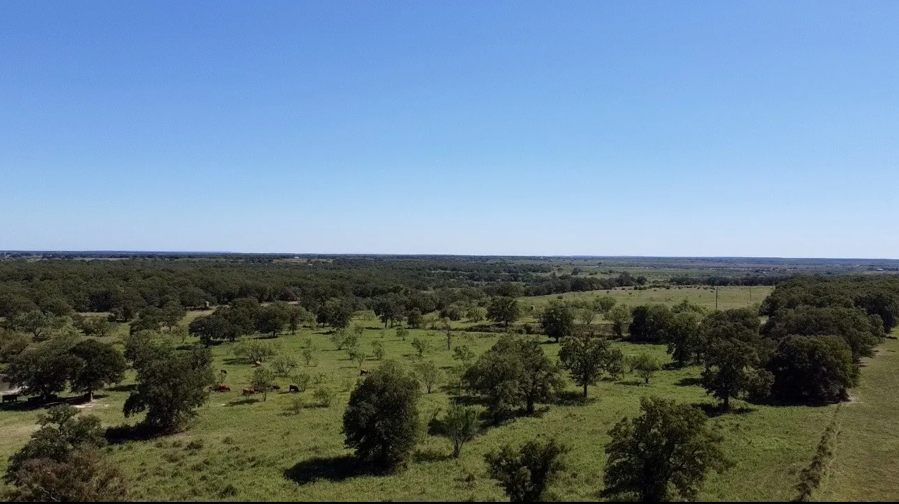 Improved Land For Sale in Callahan County , 8593 State Highway 36 E, Cross Plains, Texas 76443, 0, 0, Garage spaces, 0 Sqft, built in 2013, mls#21404837, Real Estate Agent in Cross Plains, Homes For Sale in Callahan county, Homes For Sale in Cross Plains, Realtor in Cross Plains Texas, Real Estate Brokerage Independent Realty Texas, Luminita Cordes Realtor