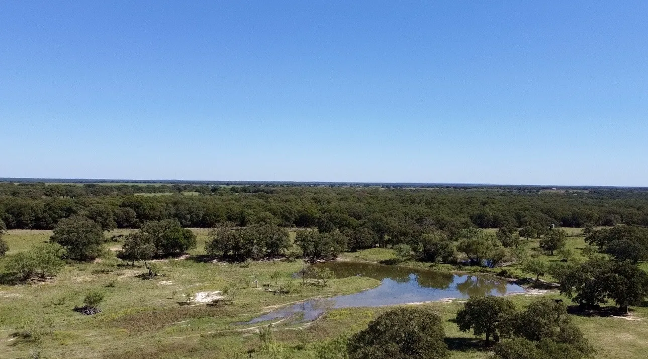 Improved Land For Sale in Callahan County , 8593 State Highway 36 E, Cross Plains, Texas 76443, 0, 0, Garage spaces, 0 Sqft, built in 2013, mls#21404837, Real Estate Agent in Cross Plains, Homes For Sale in Callahan county, Homes For Sale in Cross Plains, Realtor in Cross Plains Texas, Real Estate Brokerage Independent Realty Texas, Luminita Cordes Realtor