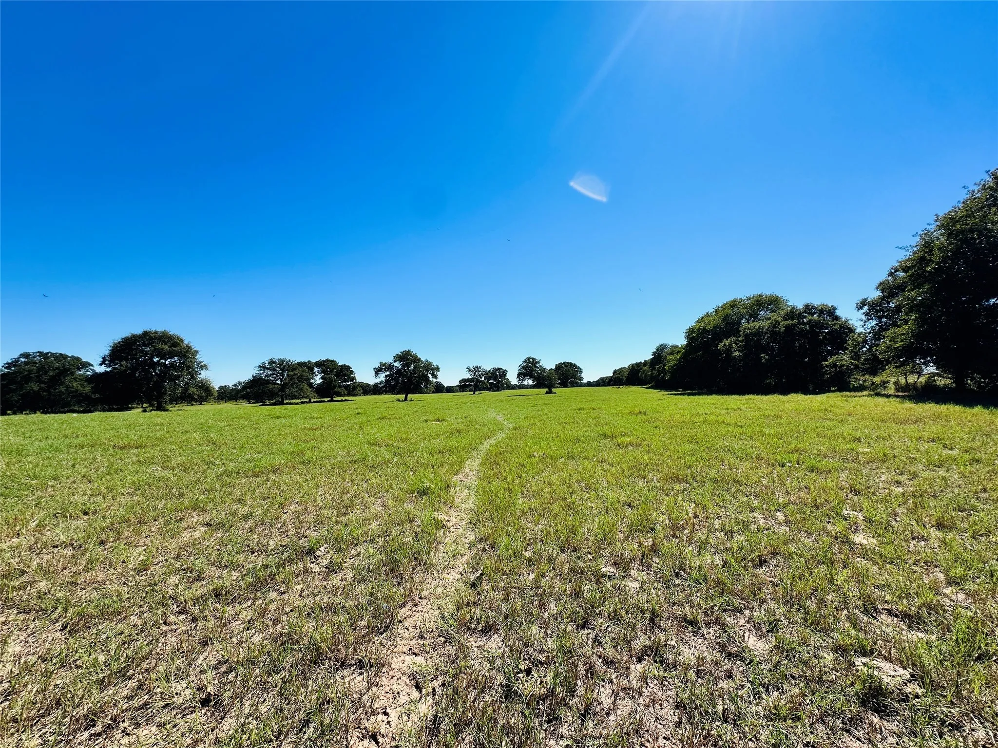 Improved Land For Sale in Callahan County , 8593 State Highway 36 E, Cross Plains, Texas 76443, 0, 0, Garage spaces, 0 Sqft, built in 2013, mls#21404837, Real Estate Agent in Cross Plains, Homes For Sale in Callahan county, Homes For Sale in Cross Plains, Realtor in Cross Plains Texas, Real Estate Brokerage Independent Realty Texas, Luminita Cordes Realtor