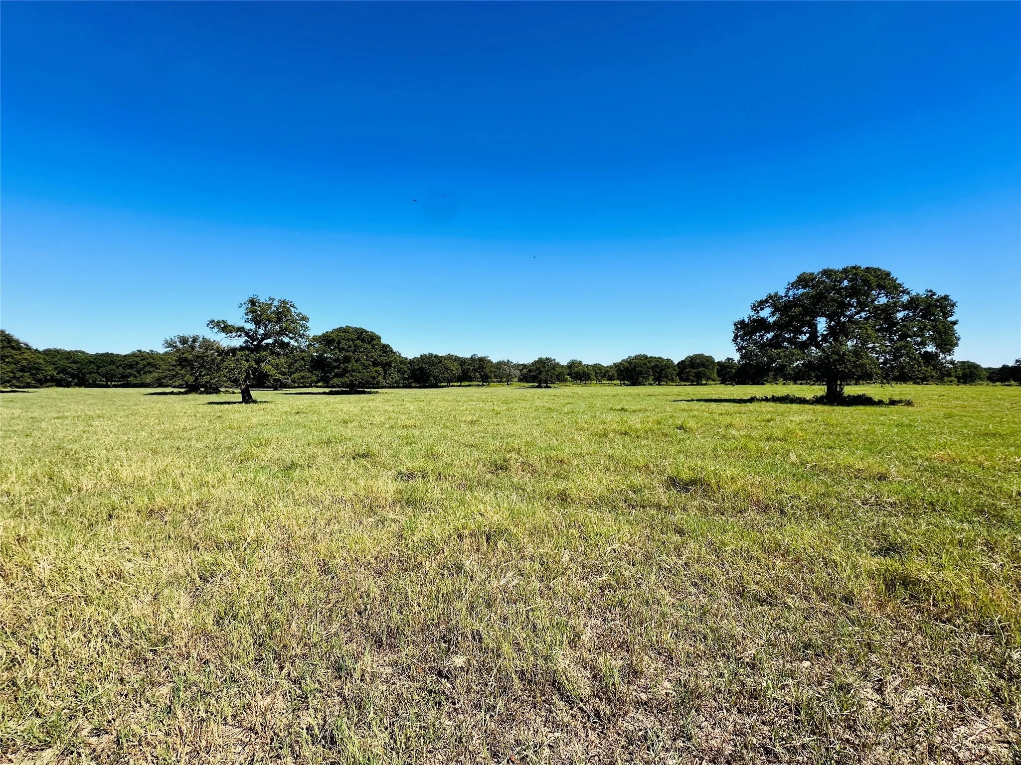 Improved Land For Sale in Callahan County , 8593 State Highway 36 E, Cross Plains, Texas 76443, 0, 0, Garage spaces, 0 Sqft, built in 2013, mls#21404837, Real Estate Agent in Cross Plains, Homes For Sale in Callahan county, Homes For Sale in Cross Plains, Realtor in Cross Plains Texas, Real Estate Brokerage Independent Realty Texas, Luminita Cordes Realtor