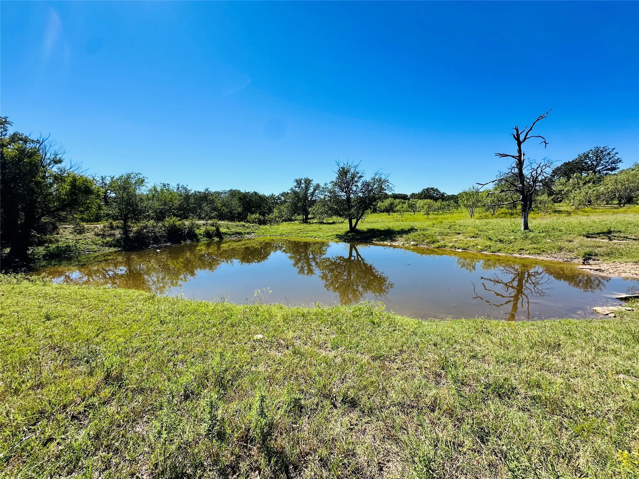 Improved Land For Sale in Callahan County , 8593 State Highway 36 E, Cross Plains, Texas 76443, 0, 0, Garage spaces, 0 Sqft, built in 2013, mls#21404837, Real Estate Agent in Cross Plains, Homes For Sale in Callahan county, Homes For Sale in Cross Plains, Realtor in Cross Plains Texas, Real Estate Brokerage Independent Realty Texas, Luminita Cordes Realtor
