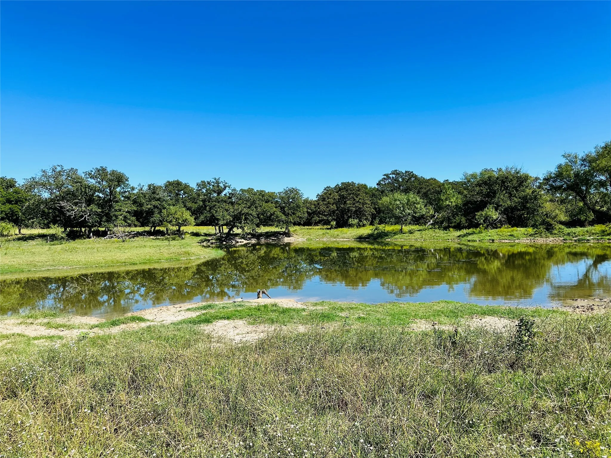 Improved Land For Sale in Callahan County , 8593 State Highway 36 E, Cross Plains, Texas 76443, 0, 0, Garage spaces, 0 Sqft, built in 2013, mls#21404837, Real Estate Agent in Cross Plains, Homes For Sale in Callahan county, Homes For Sale in Cross Plains, Realtor in Cross Plains Texas, Real Estate Brokerage Independent Realty Texas, Luminita Cordes Realtor