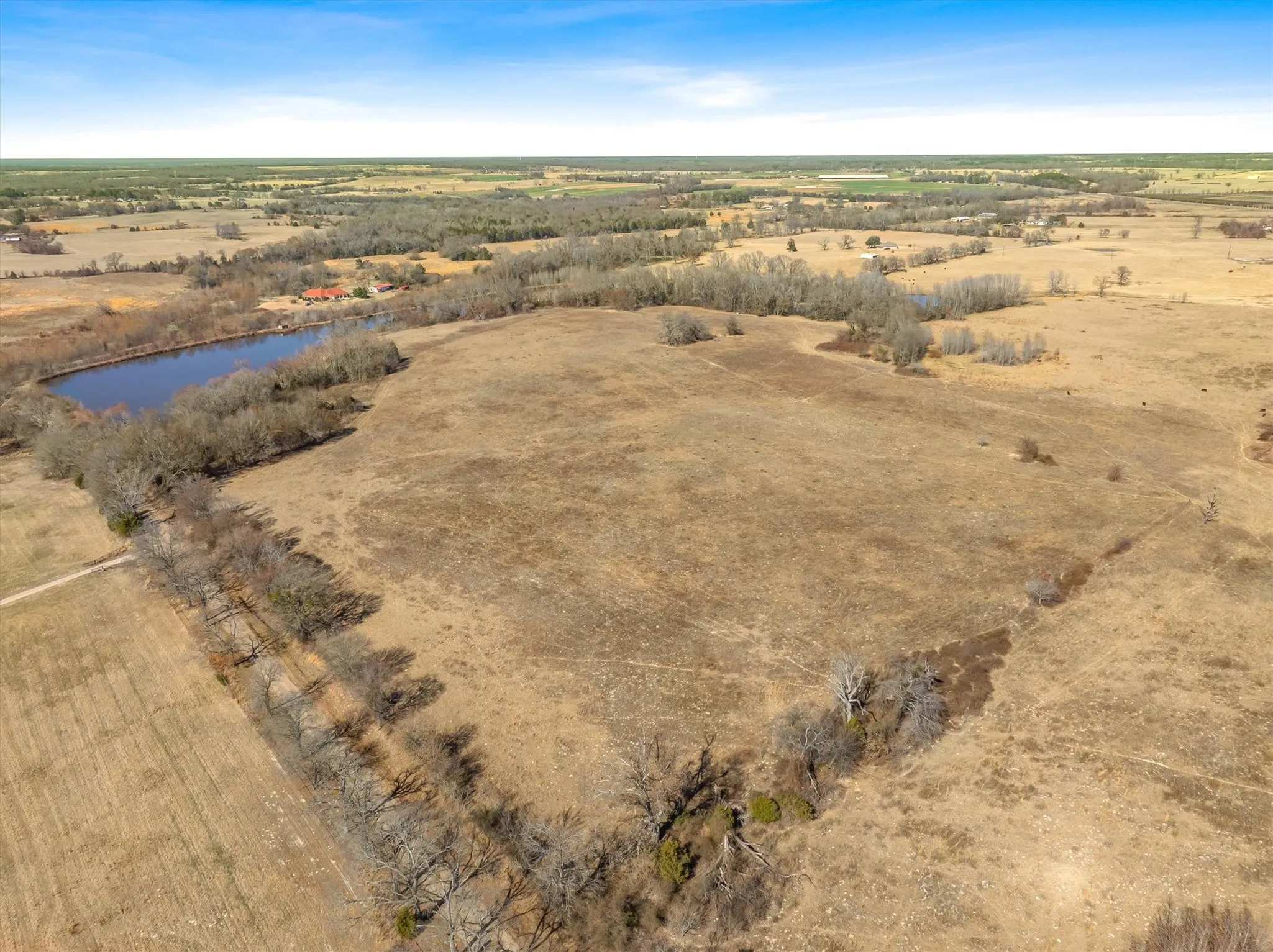 Unimproved Land For Sale in Van Zandt County , TBD VZ County Road 2317 Tract 7, Canton, Texas 75103, 0, 0, Garage spaces, 0 Sqft, built in 0, mls#21403903, Real Estate Agent in Canton, Homes For Sale in Van Zandt county, Homes For Sale in Canton, Realtor in Canton Texas, Real Estate Brokerage Independent Realty Texas, Luminita Cordes Realtor