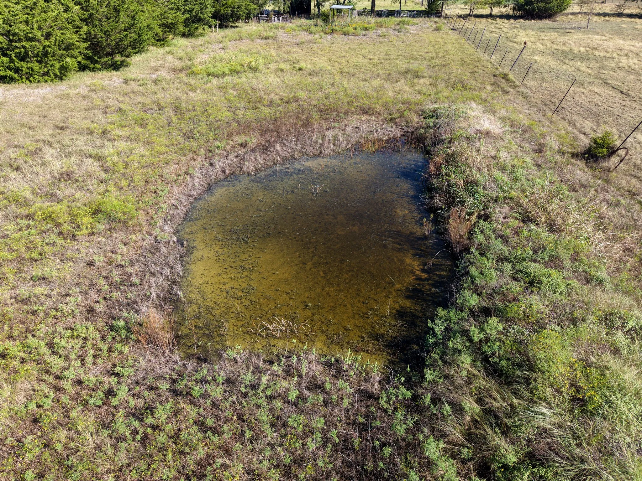 Unimproved Land For Sale in Grayson County , 8300 Fm 697, Whitewright, Texas 75491, 0, 0, Garage spaces, 0 Sqft, built in 0, mls#21404217, Real Estate Agent in Whitewright, Homes For Sale in Grayson county, Homes For Sale in Whitewright, Realtor in Whitewright Texas, Real Estate Brokerage Independent Realty Texas, Luminita Cordes Realtor