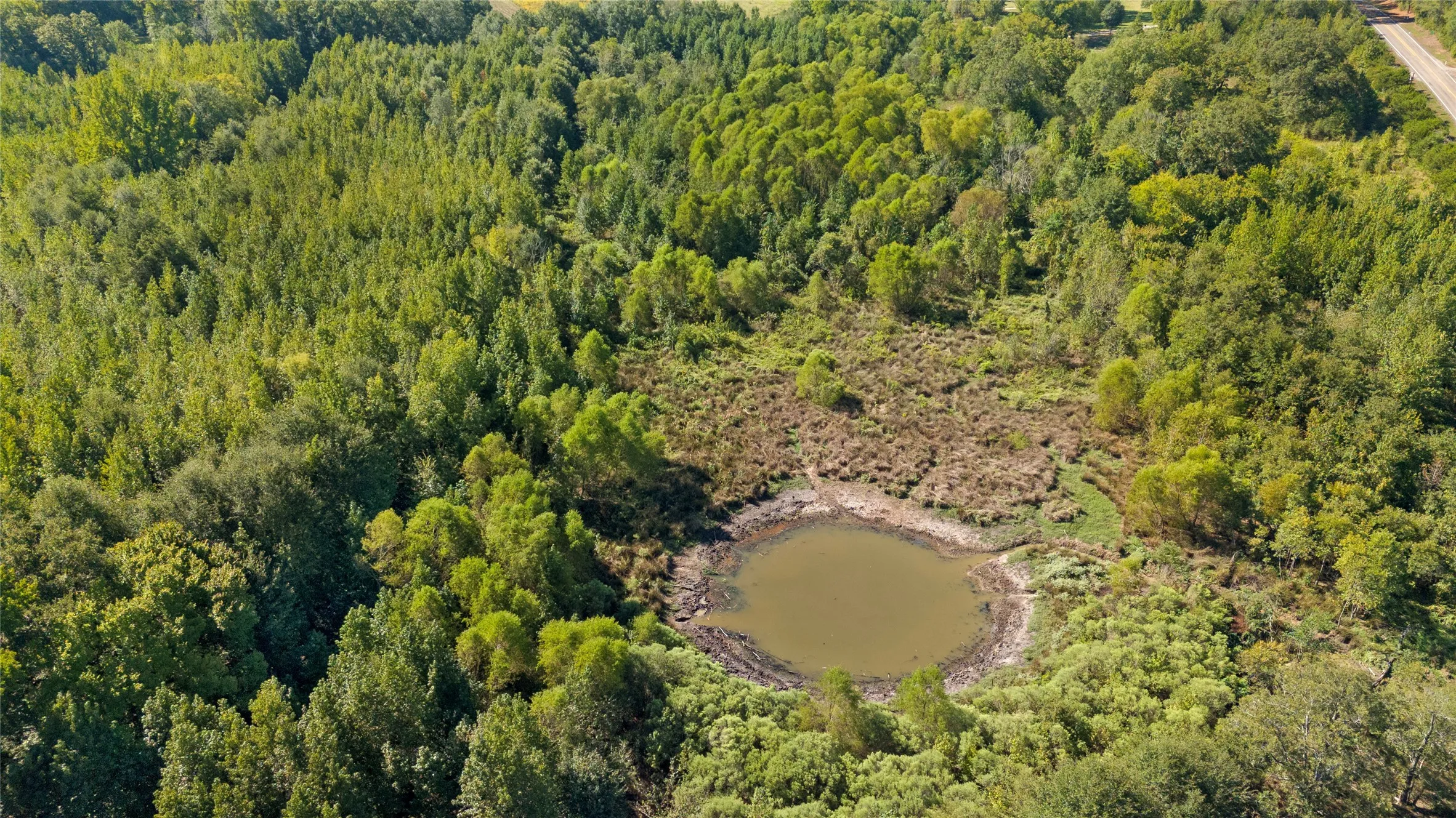 Improved Land For Sale in Wood County , 4669 Fm 1254, Mineola, Texas 75773, 0, 0, Garage spaces, 0 Sqft, built in 0, mls#21407122, Real Estate Agent in Mineola, Homes For Sale in Wood county, Homes For Sale in Mineola, Realtor in Mineola Texas, Real Estate Brokerage Independent Realty Texas, Luminita Cordes Realtor