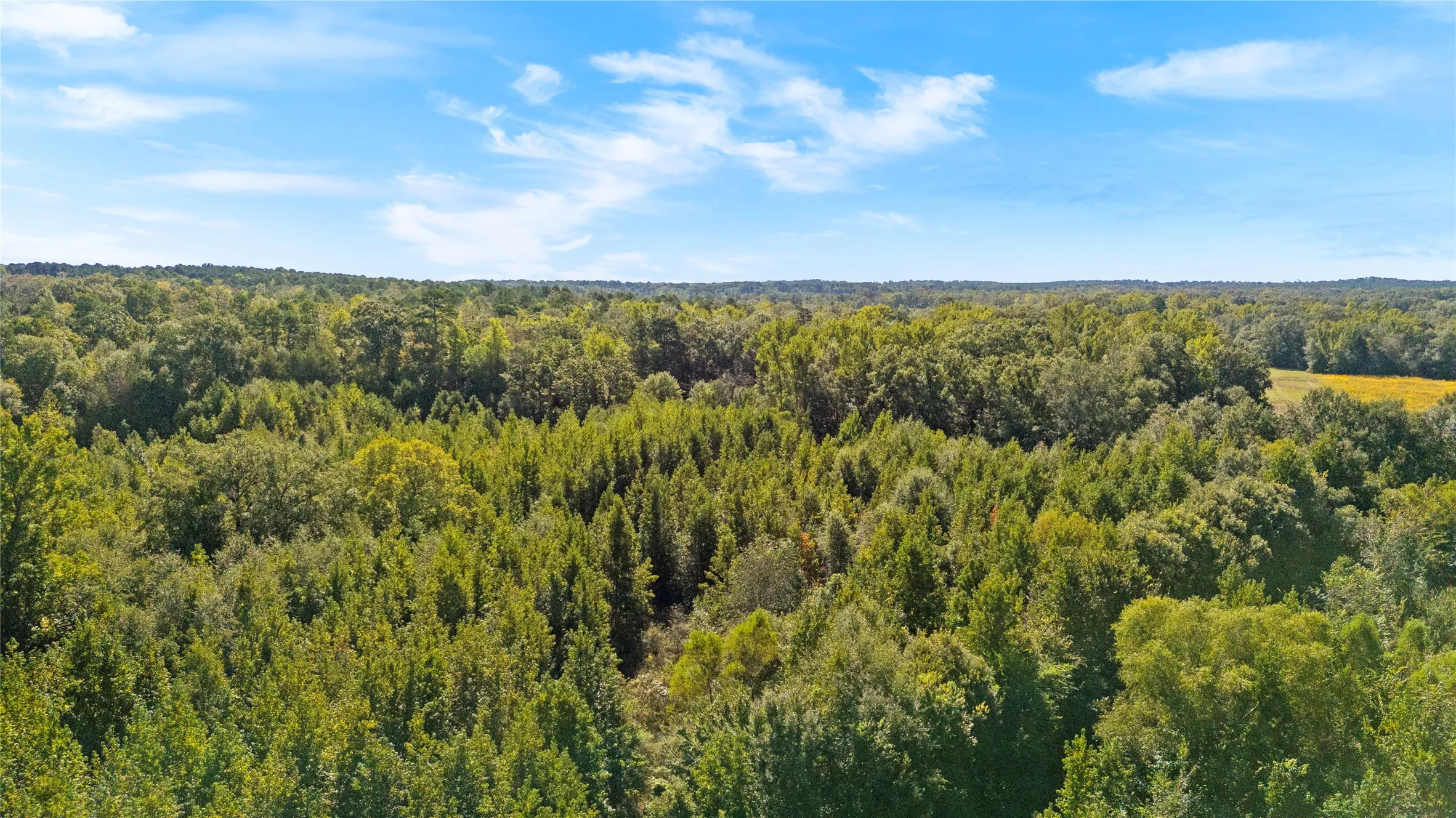 Improved Land For Sale in Wood County , 4669 Fm 1254, Mineola, Texas 75773, 0, 0, Garage spaces, 0 Sqft, built in 0, mls#21407122, Real Estate Agent in Mineola, Homes For Sale in Wood county, Homes For Sale in Mineola, Realtor in Mineola Texas, Real Estate Brokerage Independent Realty Texas, Luminita Cordes Realtor
