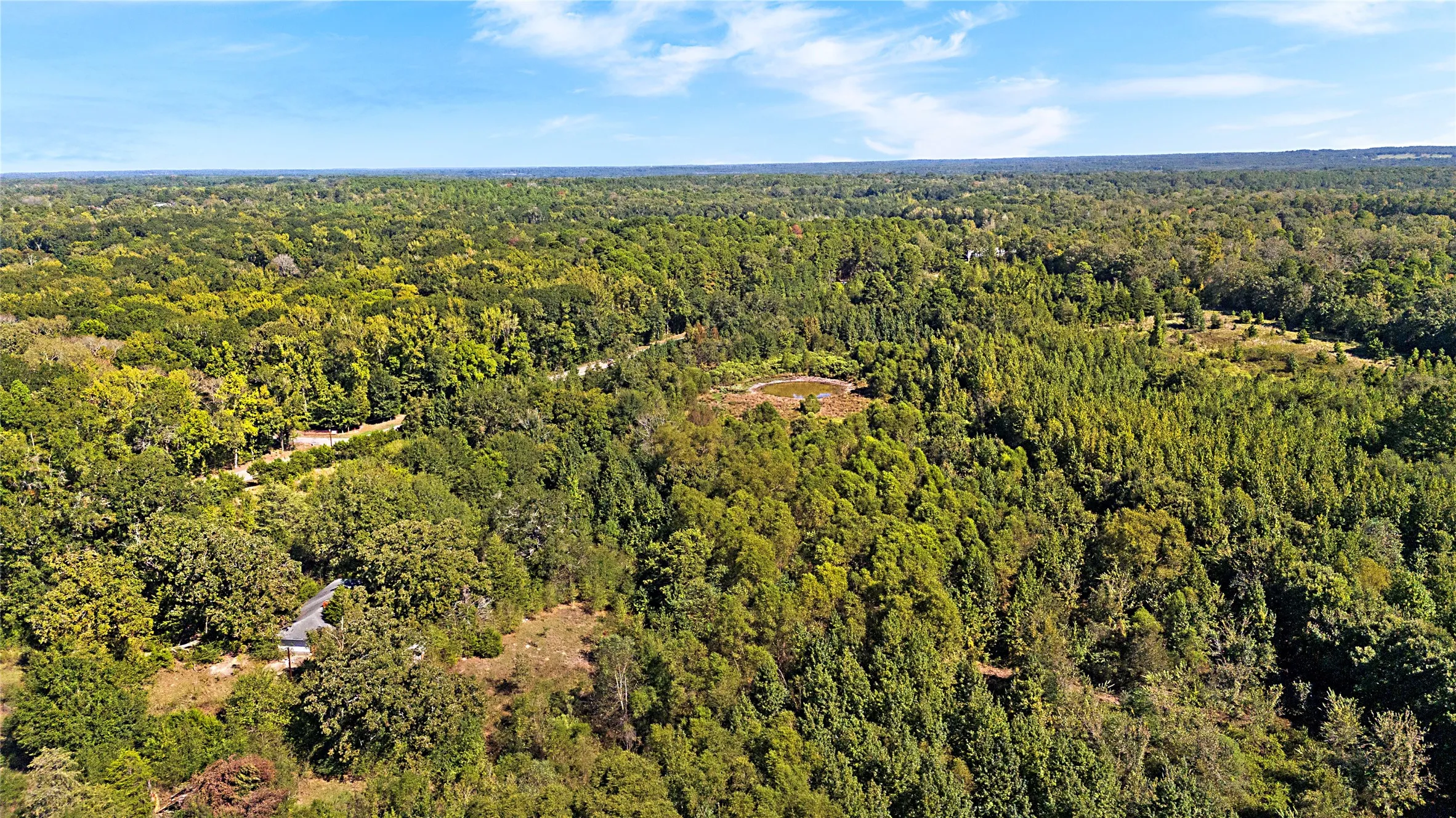 Improved Land For Sale in Wood County , 4669 Fm 1254, Mineola, Texas 75773, 0, 0, Garage spaces, 0 Sqft, built in 0, mls#21407122, Real Estate Agent in Mineola, Homes For Sale in Wood county, Homes For Sale in Mineola, Realtor in Mineola Texas, Real Estate Brokerage Independent Realty Texas, Luminita Cordes Realtor