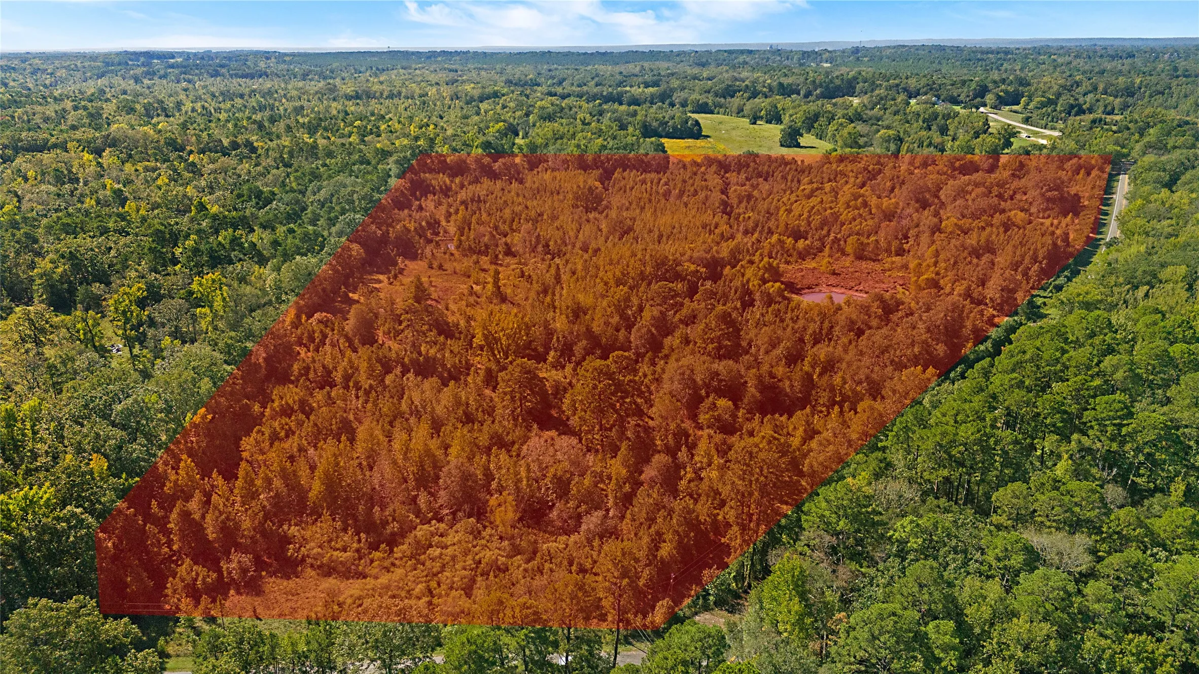 Improved Land For Sale in Wood County , 4669 Fm 1254, Mineola, Texas 75773, 0, 0, Garage spaces, 0 Sqft, built in 0, mls#21407122, Real Estate Agent in Mineola, Homes For Sale in Wood county, Homes For Sale in Mineola, Realtor in Mineola Texas, Real Estate Brokerage Independent Realty Texas, Luminita Cordes Realtor