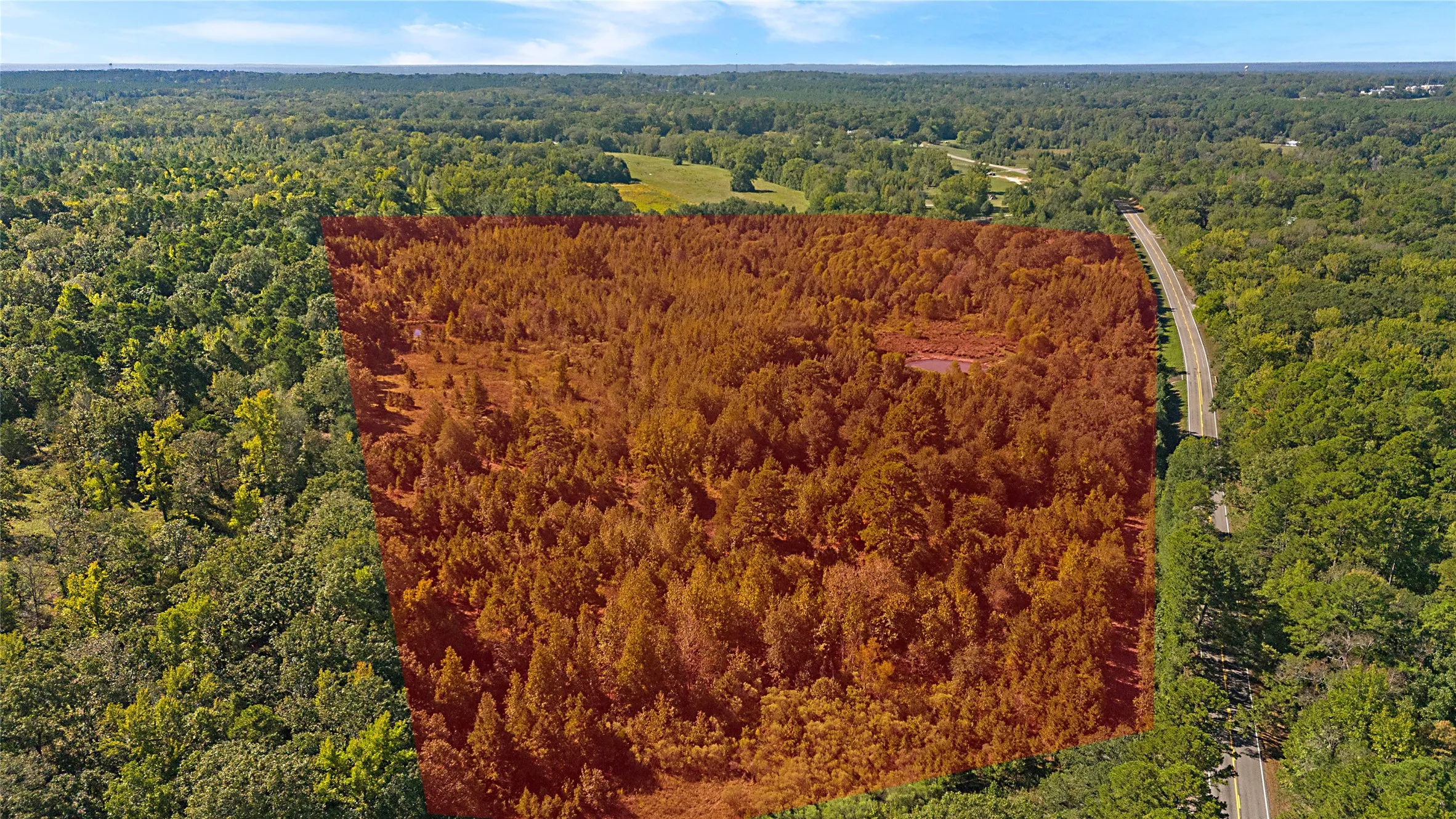 Improved Land For Sale in Wood County , 4669 Fm 1254, Mineola, Texas 75773, 0, 0, Garage spaces, 0 Sqft, built in 0, mls#21407122, Real Estate Agent in Mineola, Homes For Sale in Wood county, Homes For Sale in Mineola, Realtor in Mineola Texas, Real Estate Brokerage Independent Realty Texas, Luminita Cordes Realtor