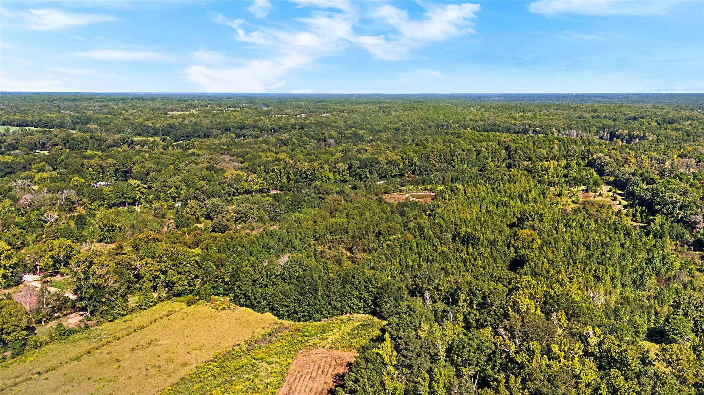 Improved Land For Sale in Wood County , 4669 Fm 1254, Mineola, Texas 75773, 0, 0, Garage spaces, 0 Sqft, built in 0, mls#21407122, Real Estate Agent in Mineola, Homes For Sale in Wood county, Homes For Sale in Mineola, Realtor in Mineola Texas, Real Estate Brokerage Independent Realty Texas, Luminita Cordes Realtor
