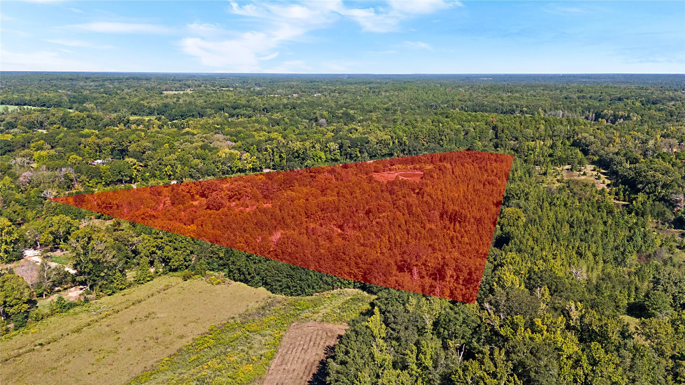 Improved Land For Sale in Wood County , 4669 Fm 1254, Mineola, Texas 75773, 0, 0, Garage spaces, 0 Sqft, built in 0, mls#21407122, Real Estate Agent in Mineola, Homes For Sale in Wood county, Homes For Sale in Mineola, Realtor in Mineola Texas, Real Estate Brokerage Independent Realty Texas, Luminita Cordes Realtor