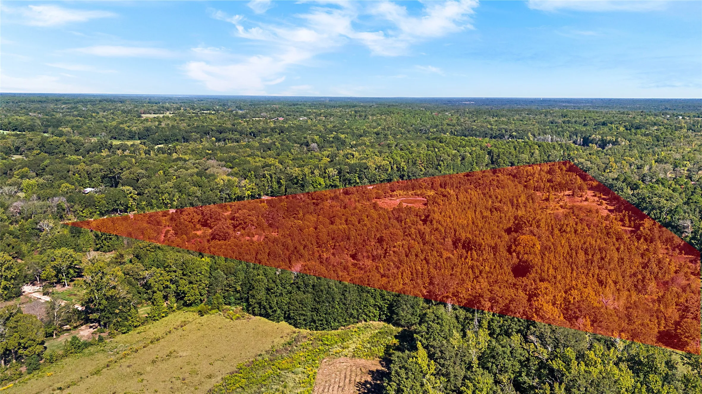 Improved Land For Sale in Wood County , 4669 Fm 1254, Mineola, Texas 75773, 0, 0, Garage spaces, 0 Sqft, built in 0, mls#21407122, Real Estate Agent in Mineola, Homes For Sale in Wood county, Homes For Sale in Mineola, Realtor in Mineola Texas, Real Estate Brokerage Independent Realty Texas, Luminita Cordes Realtor