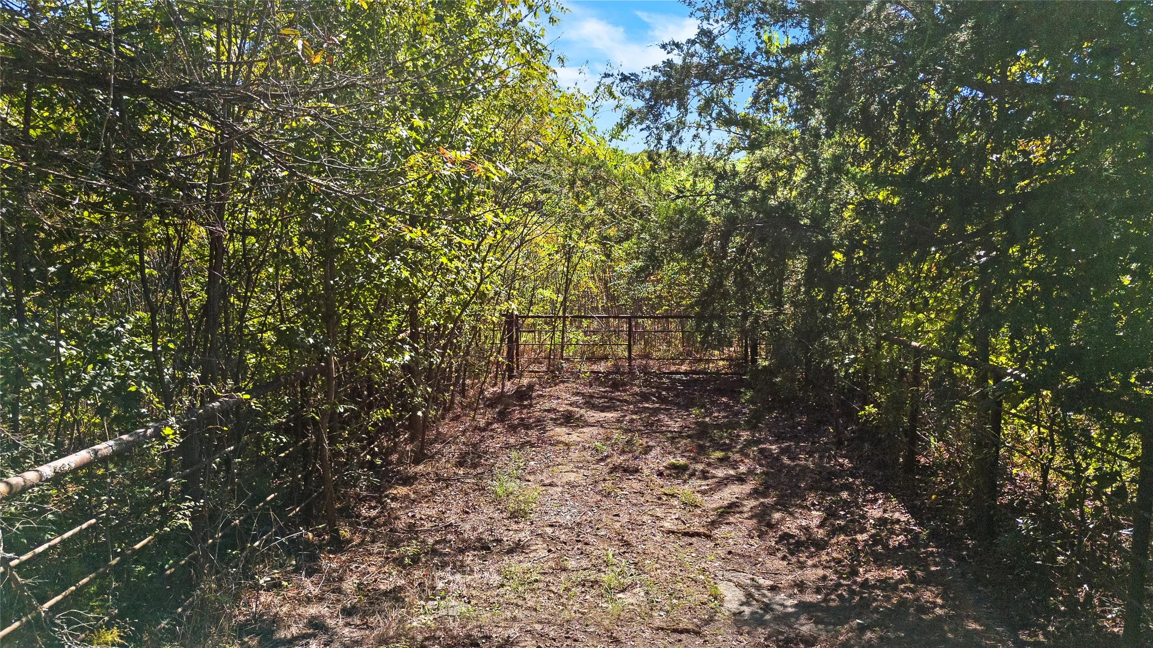 Improved Land For Sale in Wood County , 4669 Fm 1254, Mineola, Texas 75773, 0, 0, Garage spaces, 0 Sqft, built in 0, mls#21407122, Real Estate Agent in Mineola, Homes For Sale in Wood county, Homes For Sale in Mineola, Realtor in Mineola Texas, Real Estate Brokerage Independent Realty Texas, Luminita Cordes Realtor