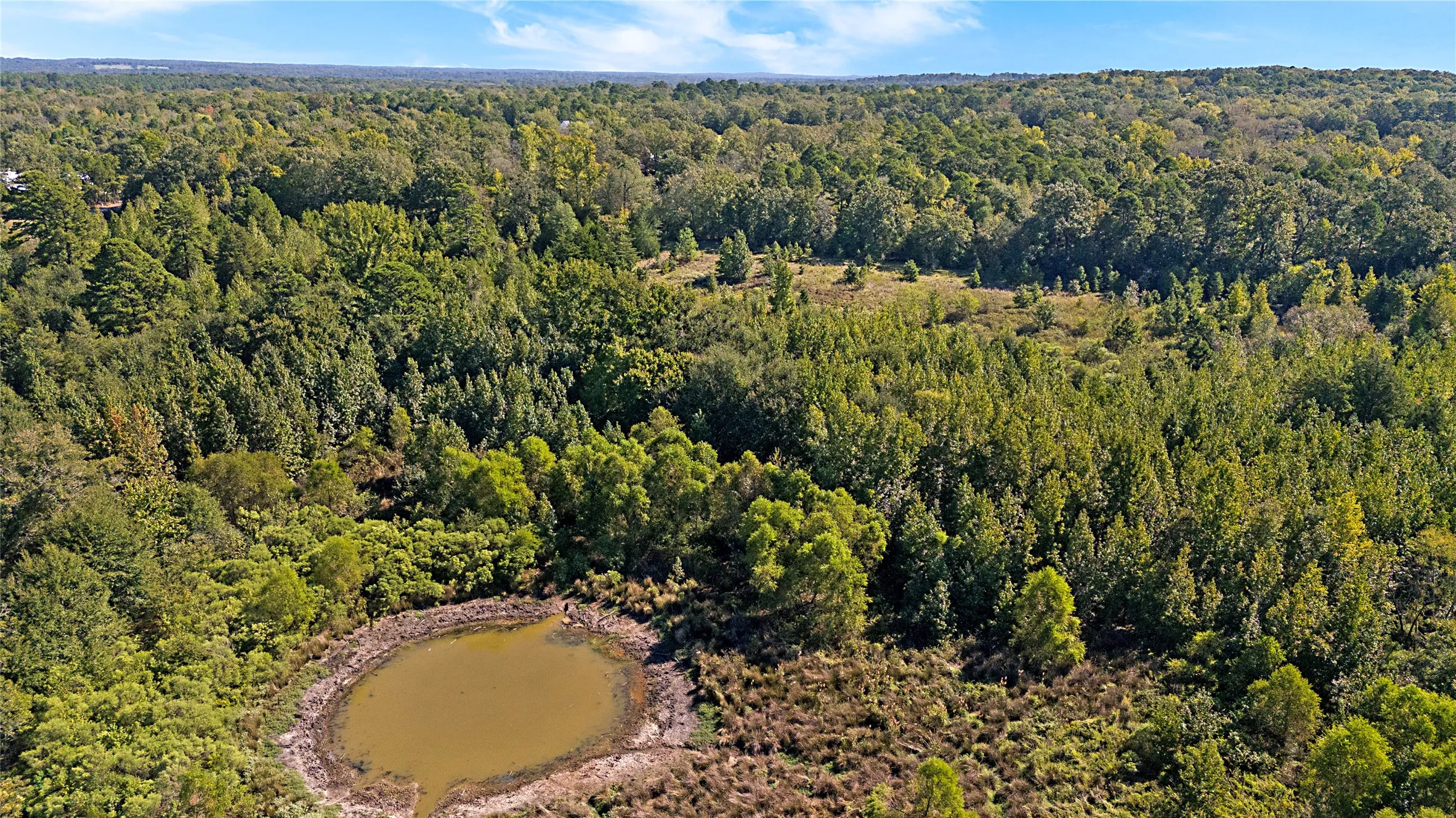 Improved Land For Sale in Wood County , 4669 Fm 1254, Mineola, Texas 75773, 0, 0, Garage spaces, 0 Sqft, built in 0, mls#21407122, Real Estate Agent in Mineola, Homes For Sale in Wood county, Homes For Sale in Mineola, Realtor in Mineola Texas, Real Estate Brokerage Independent Realty Texas, Luminita Cordes Realtor