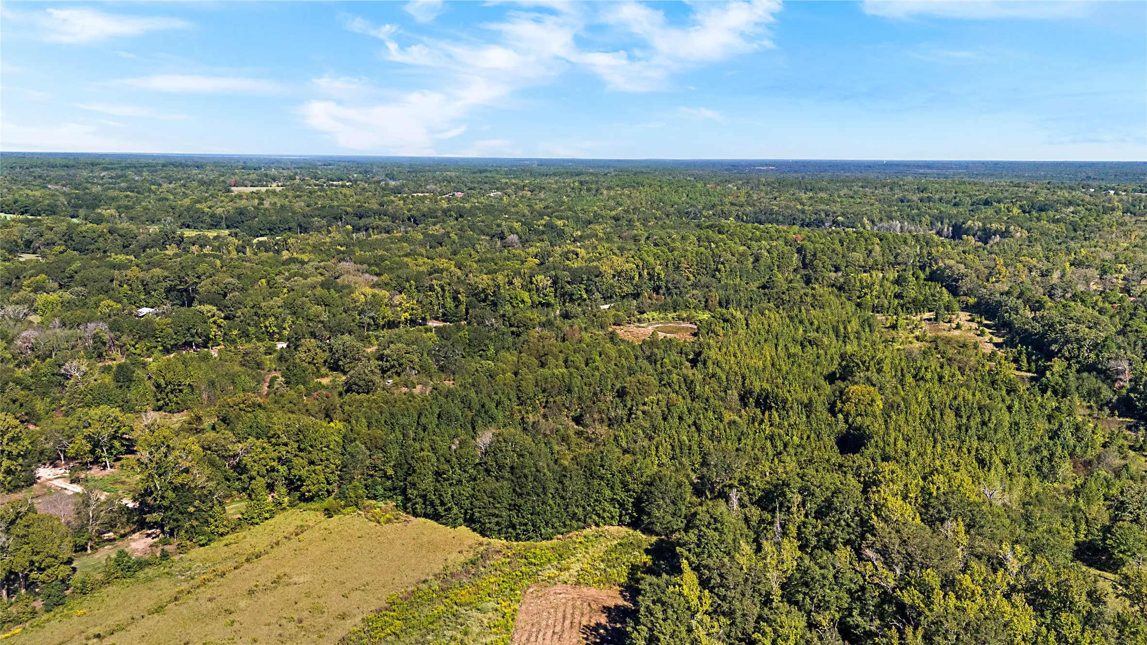 Improved Land For Sale in Wood County , 4669 Fm 1254, Mineola, Texas 75773, 0, 0, Garage spaces, 0 Sqft, built in 0, mls#21407122, Real Estate Agent in Mineola, Homes For Sale in Wood county, Homes For Sale in Mineola, Realtor in Mineola Texas, Real Estate Brokerage Independent Realty Texas, Luminita Cordes Realtor