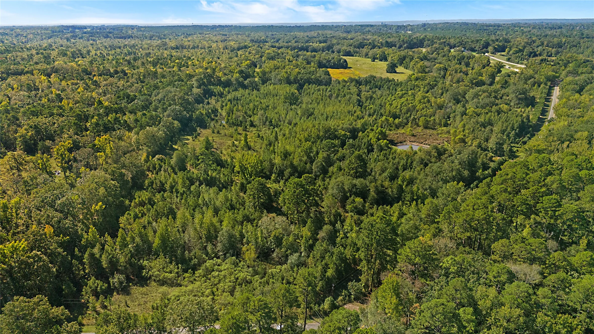 Improved Land For Sale in Wood County , 4669 Fm 1254, Mineola, Texas 75773, 0, 0, Garage spaces, 0 Sqft, built in 0, mls#21407122, Real Estate Agent in Mineola, Homes For Sale in Wood county, Homes For Sale in Mineola, Realtor in Mineola Texas, Real Estate Brokerage Independent Realty Texas, Luminita Cordes Realtor