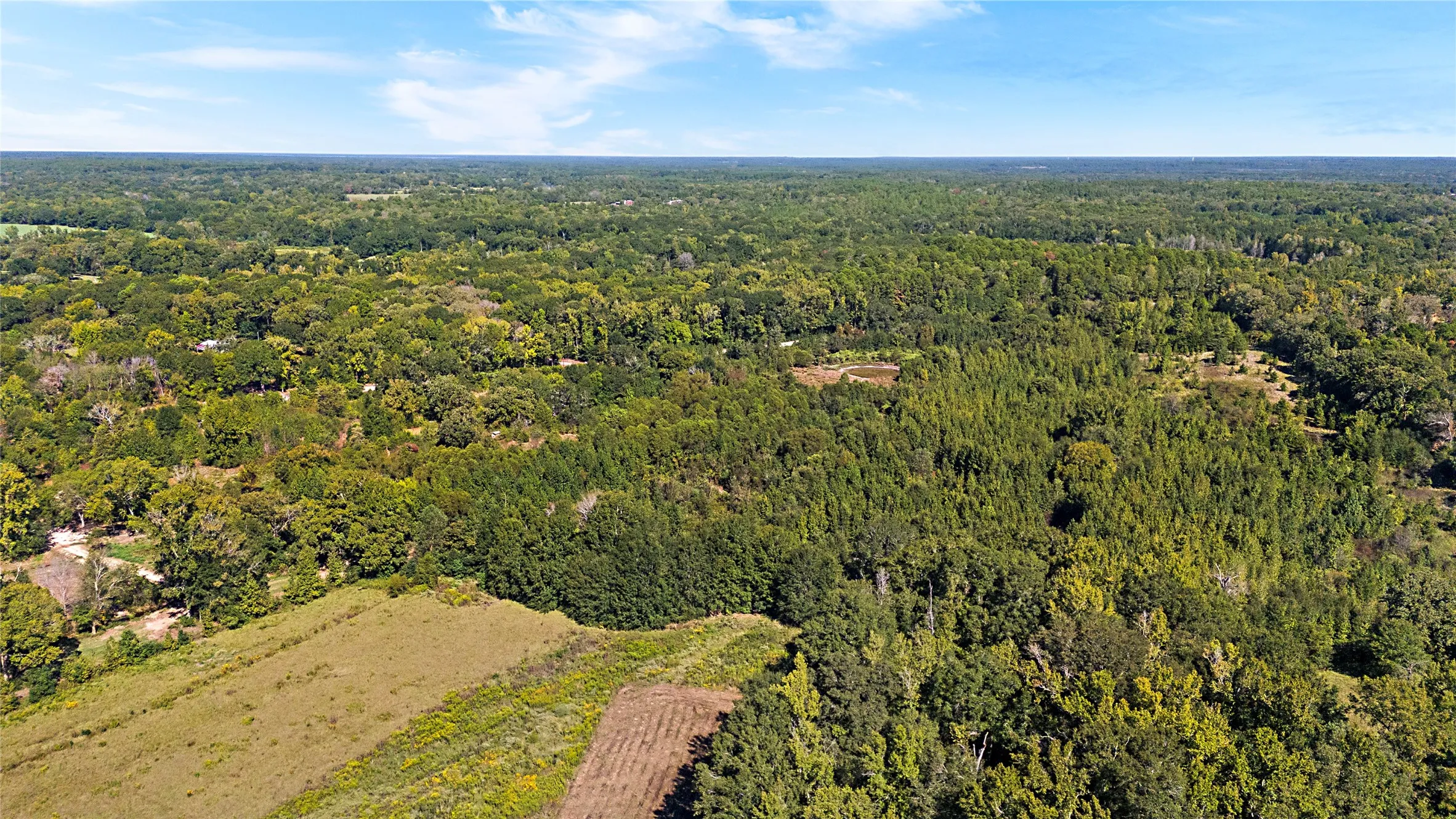 Improved Land For Sale in Wood County , 4669 Fm 1254, Mineola, Texas 75773, 0, 0, Garage spaces, 0 Sqft, built in 0, mls#21407122, Real Estate Agent in Mineola, Homes For Sale in Wood county, Homes For Sale in Mineola, Realtor in Mineola Texas, Real Estate Brokerage Independent Realty Texas, Luminita Cordes Realtor