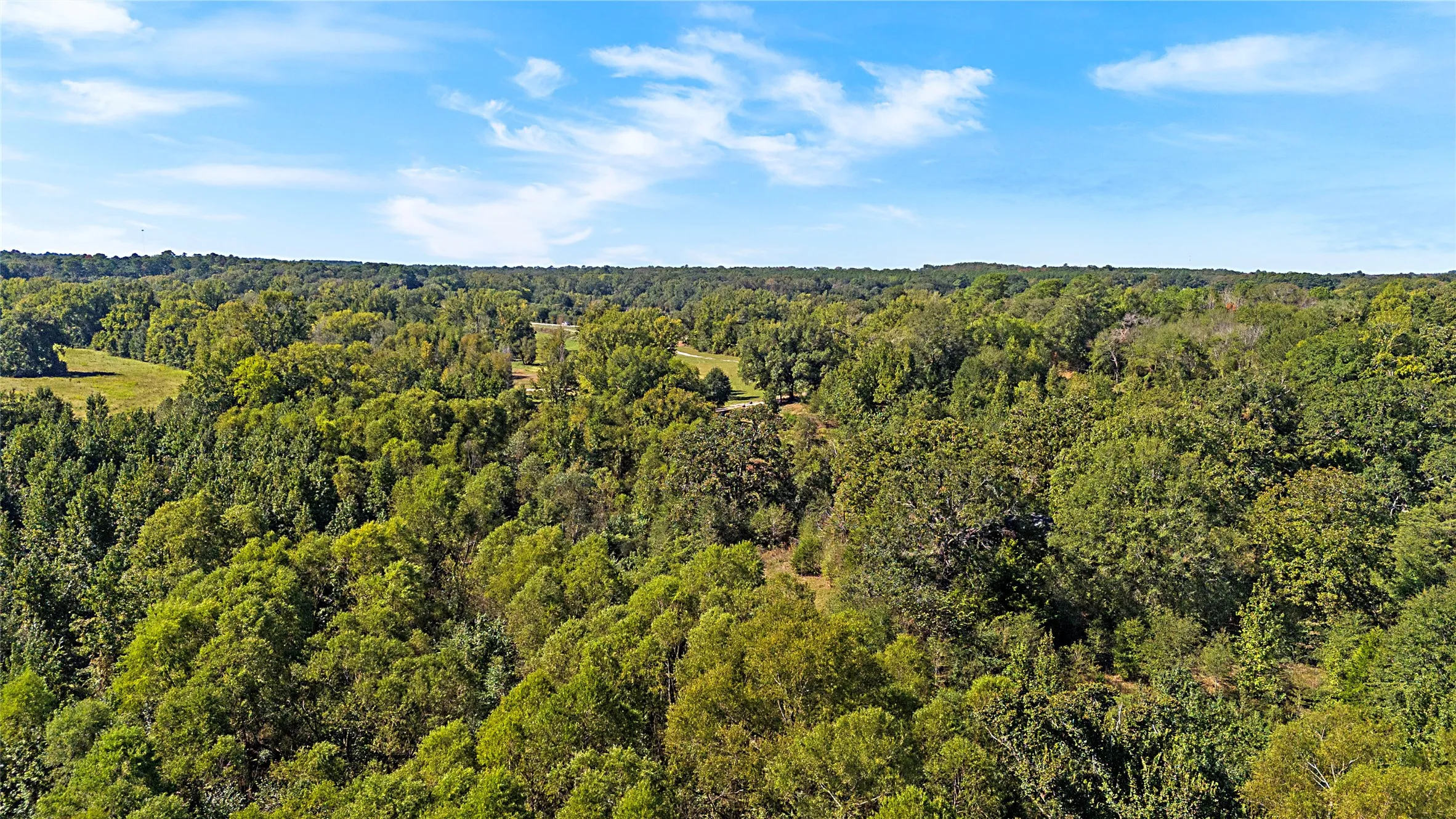 Improved Land For Sale in Wood County , 4669 Fm 1254, Mineola, Texas 75773, 0, 0, Garage spaces, 0 Sqft, built in 0, mls#21407122, Real Estate Agent in Mineola, Homes For Sale in Wood county, Homes For Sale in Mineola, Realtor in Mineola Texas, Real Estate Brokerage Independent Realty Texas, Luminita Cordes Realtor
