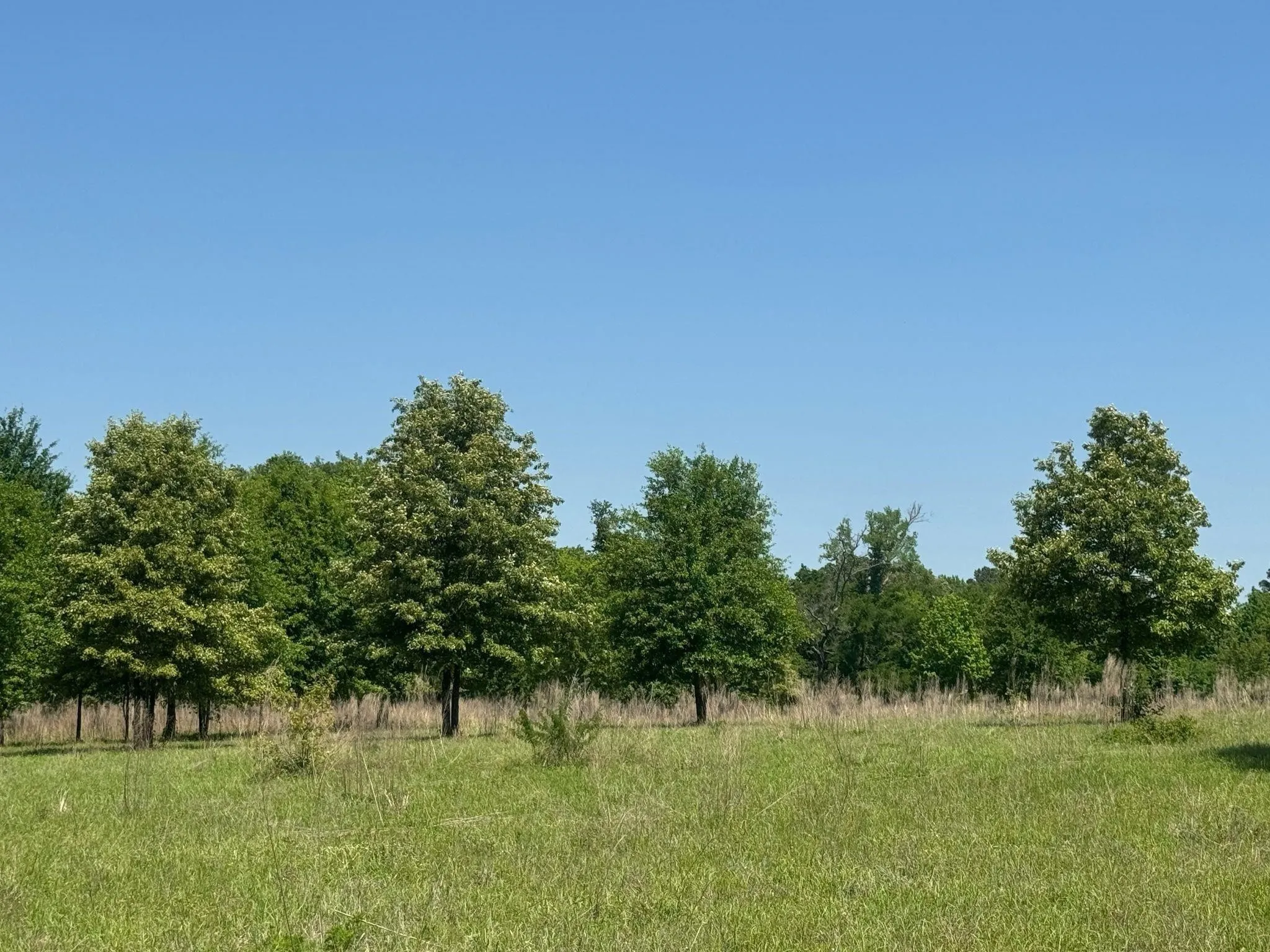 Ranch For Sale in Anderson County , 0 S US-79 Highway, Palestine, Texas 75801, 0, 0, Garage spaces, 0 Sqft, built in 0, mls#21407058, Real Estate Agent in Palestine, Homes For Sale in Anderson county, Homes For Sale in Palestine, Realtor in Palestine Texas, Real Estate Brokerage Independent Realty Texas, Luminita Cordes Realtor