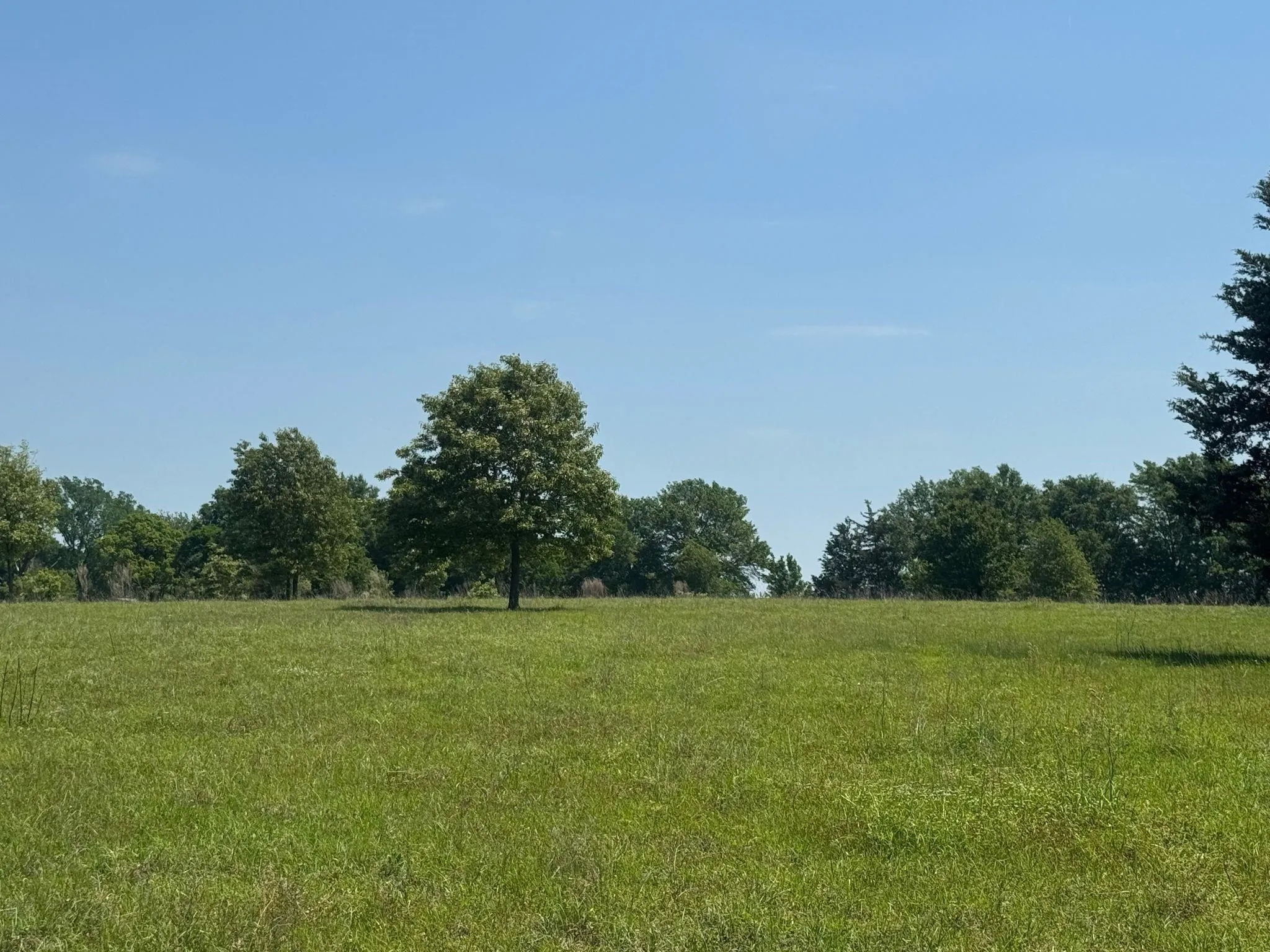 Ranch For Sale in Anderson County , 0 S US-79 Highway, Palestine, Texas 75801, 0, 0, Garage spaces, 0 Sqft, built in 0, mls#21407058, Real Estate Agent in Palestine, Homes For Sale in Anderson county, Homes For Sale in Palestine, Realtor in Palestine Texas, Real Estate Brokerage Independent Realty Texas, Luminita Cordes Realtor