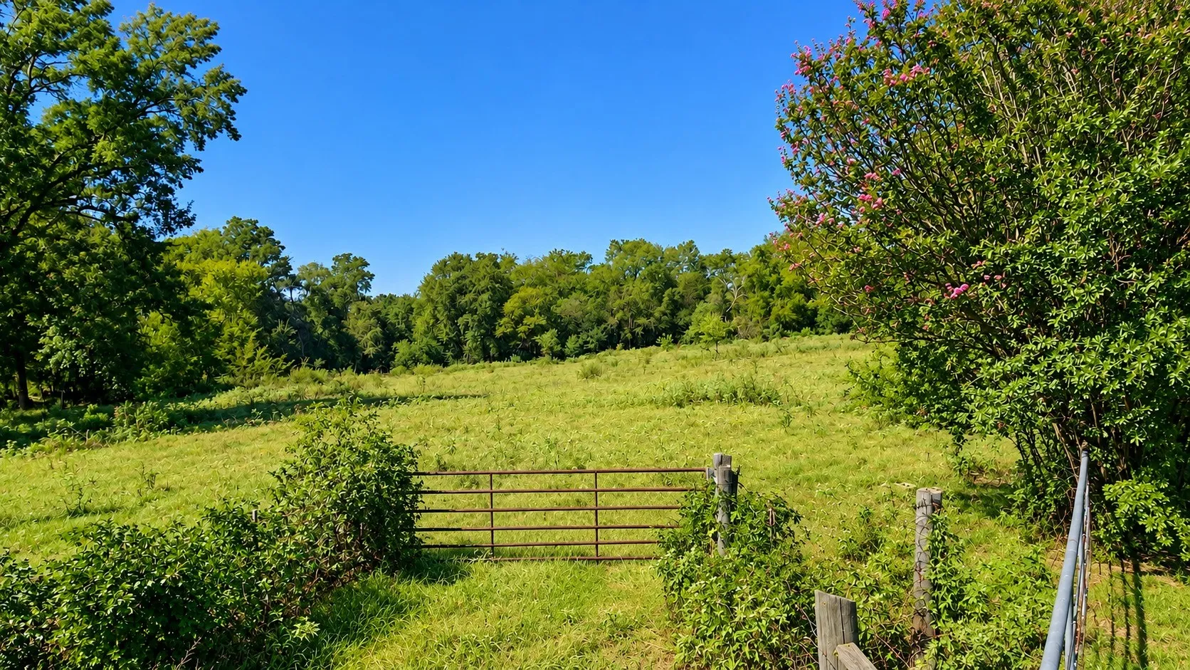 Ranch For Sale in Anderson County , 0 S US-79 Highway, Palestine, Texas 75801, 0, 0, Garage spaces, 0 Sqft, built in 0, mls#21407058, Real Estate Agent in Palestine, Homes For Sale in Anderson county, Homes For Sale in Palestine, Realtor in Palestine Texas, Real Estate Brokerage Independent Realty Texas, Luminita Cordes Realtor