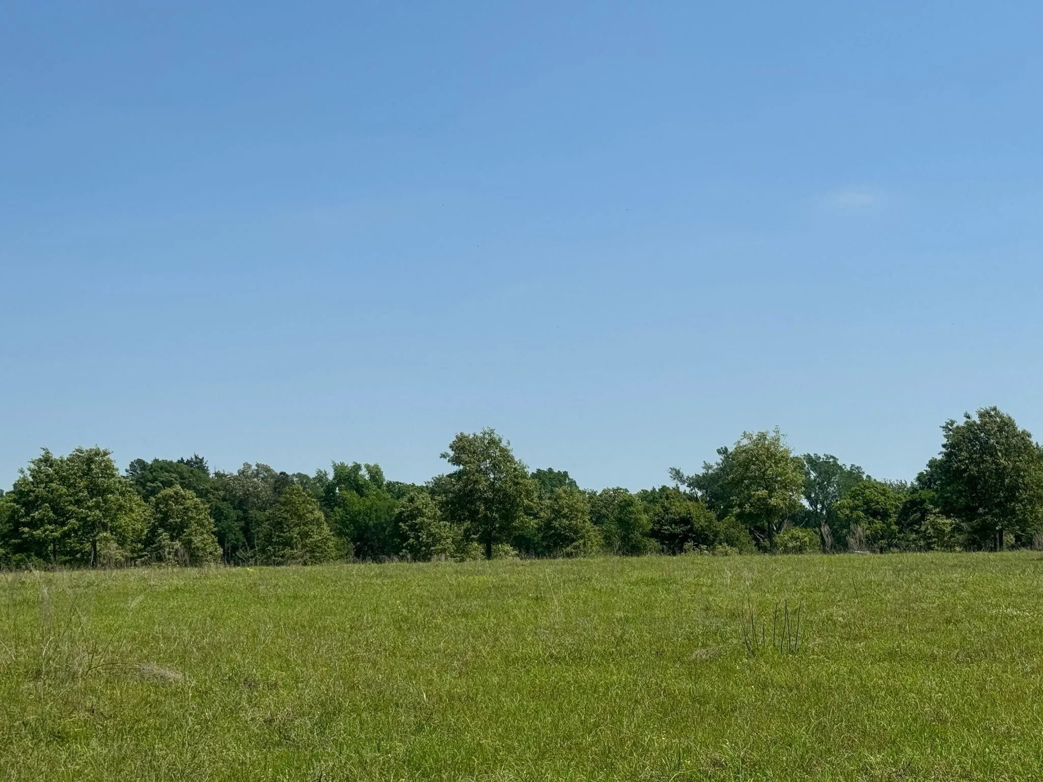 Ranch For Sale in Anderson County , 0 S US-79 Highway, Palestine, Texas 75801, 0, 0, Garage spaces, 0 Sqft, built in 0, mls#21407058, Real Estate Agent in Palestine, Homes For Sale in Anderson county, Homes For Sale in Palestine, Realtor in Palestine Texas, Real Estate Brokerage Independent Realty Texas, Luminita Cordes Realtor