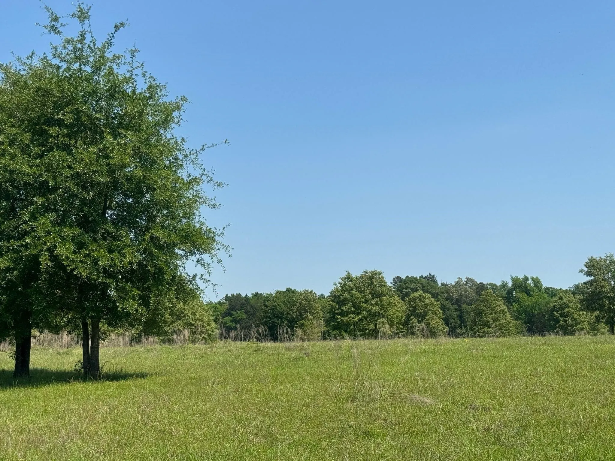 Ranch For Sale in Anderson County , 0 S US-79 Highway, Palestine, Texas 75801, 0, 0, Garage spaces, 0 Sqft, built in 0, mls#21407058, Real Estate Agent in Palestine, Homes For Sale in Anderson county, Homes For Sale in Palestine, Realtor in Palestine Texas, Real Estate Brokerage Independent Realty Texas, Luminita Cordes Realtor