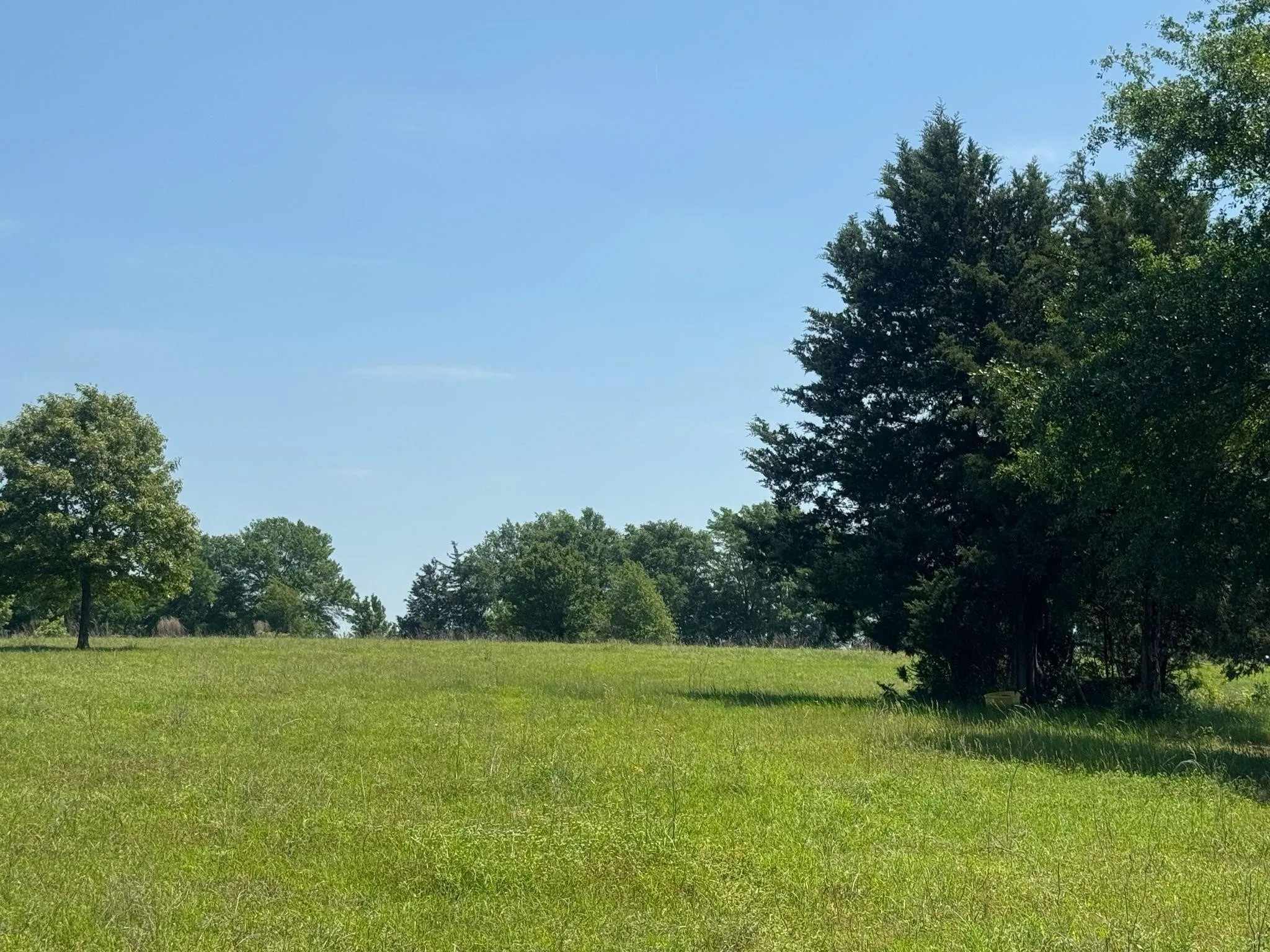 Ranch For Sale in Anderson County , 0 S US-79 Highway, Palestine, Texas 75801, 0, 0, Garage spaces, 0 Sqft, built in 0, mls#21407058, Real Estate Agent in Palestine, Homes For Sale in Anderson county, Homes For Sale in Palestine, Realtor in Palestine Texas, Real Estate Brokerage Independent Realty Texas, Luminita Cordes Realtor