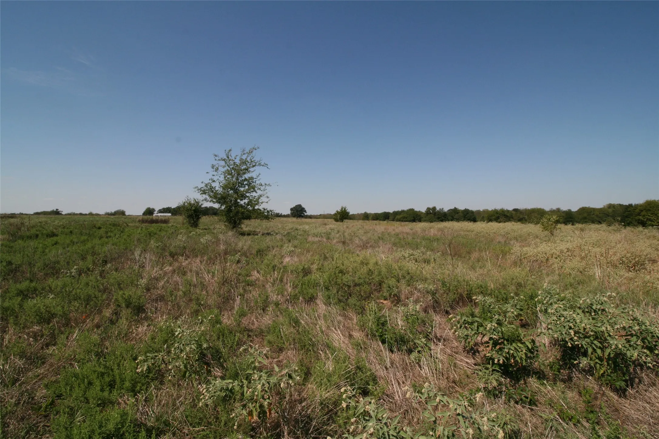Single Family Residence For Sale in Van Zandt County , 28084 Fm 47, Canton, Texas 75103, 1 Bedroom, 1 Bathroom, Garage spaces, 576 Sqft, built in 2000, mls#21407212, Real Estate Agent in Canton, Homes For Sale in Van Zandt county, Homes For Sale in Canton, Realtor in Canton Texas, Real Estate Brokerage Independent Realty Texas, Luminita Cordes Realtor