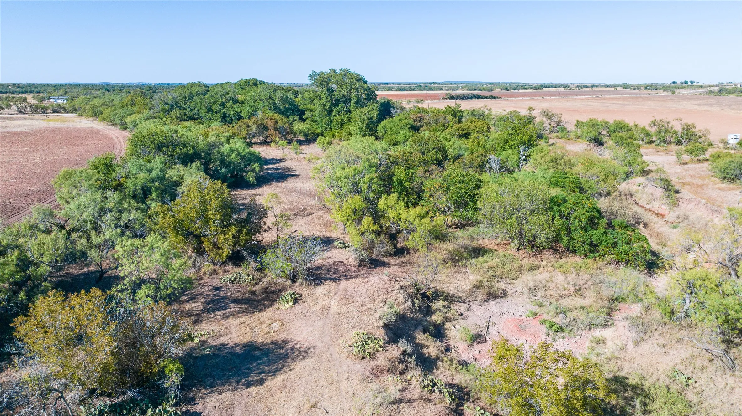 Expansive acreage featuring mature trees and varied foliage