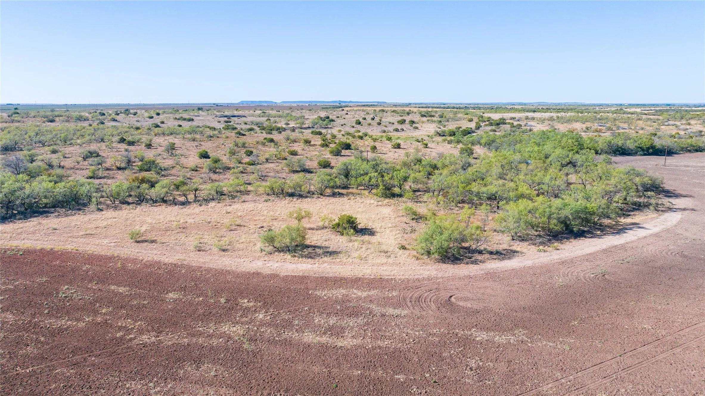 Expansive open land with varied vegetation, including mature trees and shrubbery, under a clear sky