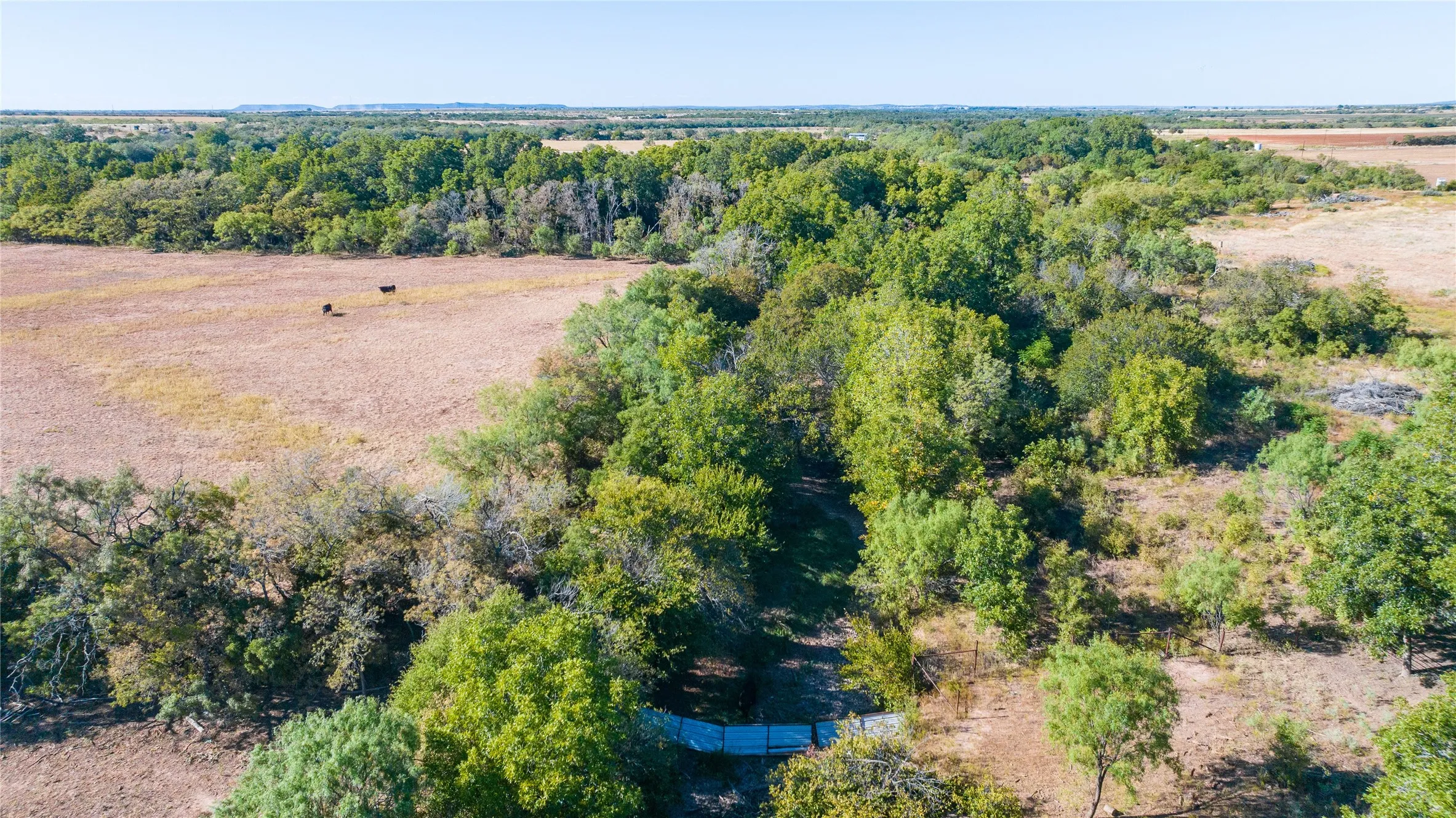 Expansive acreage featuring mature trees and open fields