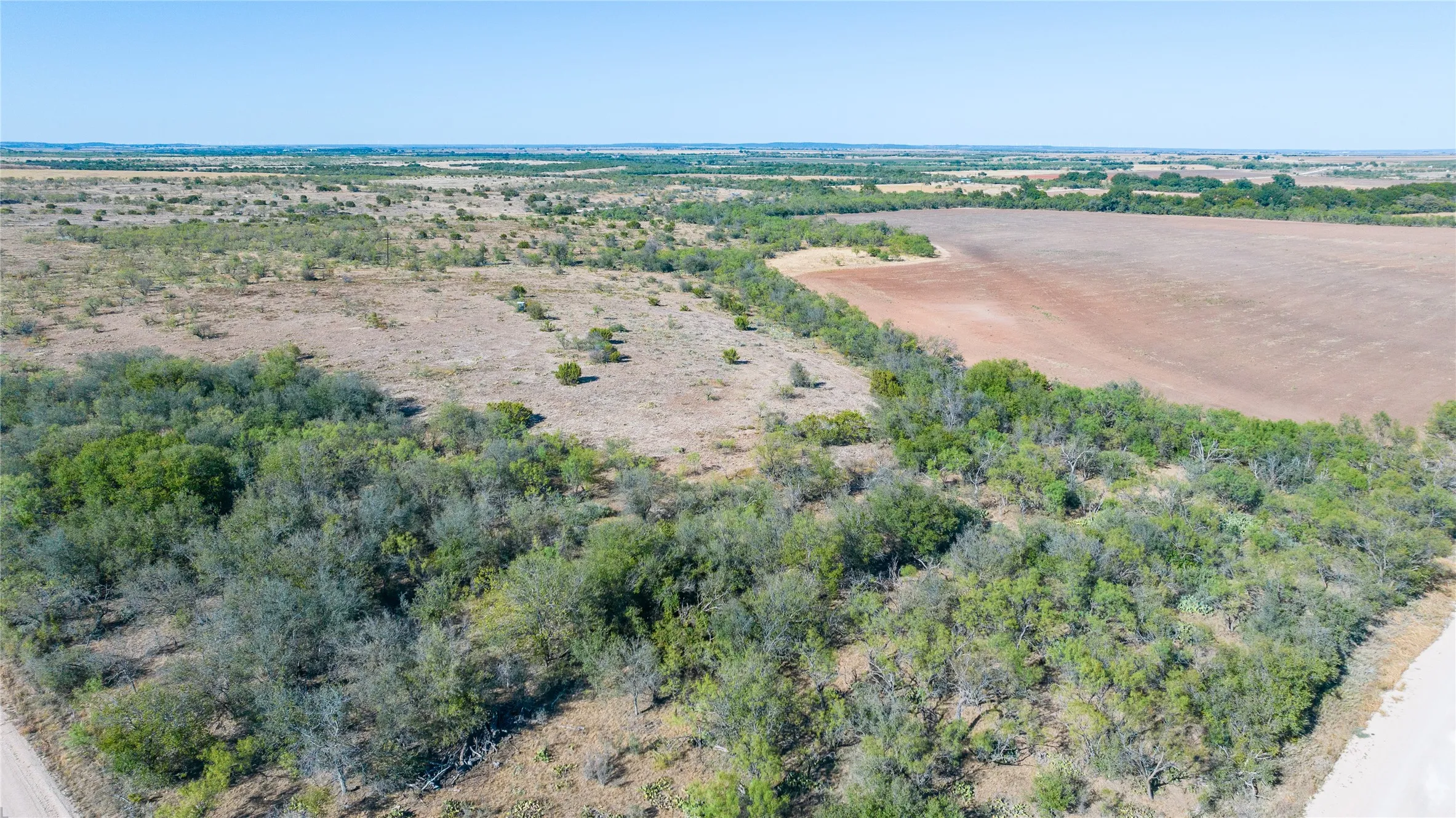 Expansive acreage featuring mature trees and open land, bordering a cultivated field