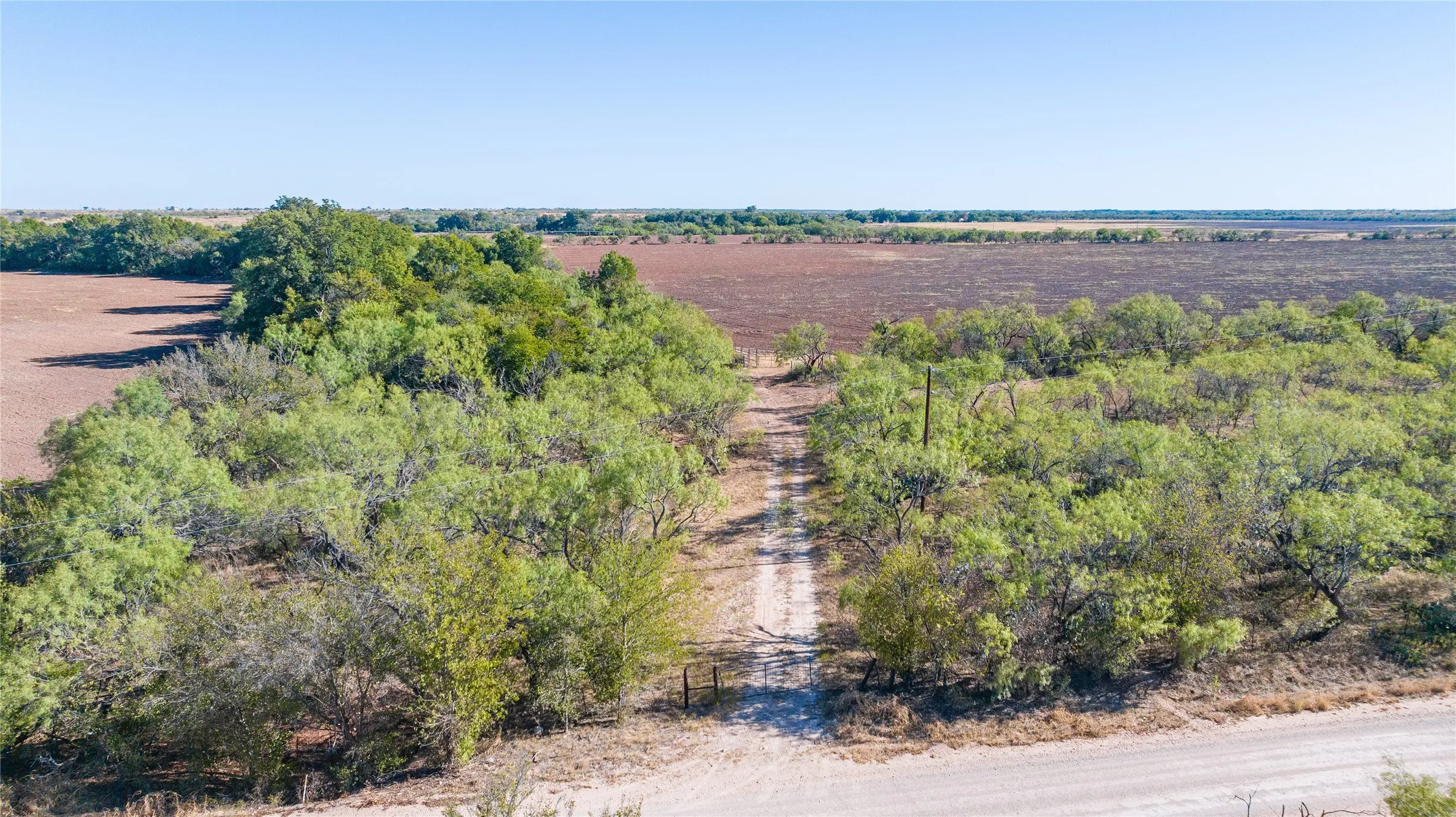 Expansive acreage featuring a natural tree line, a clear dirt road, and a distant cultivated field