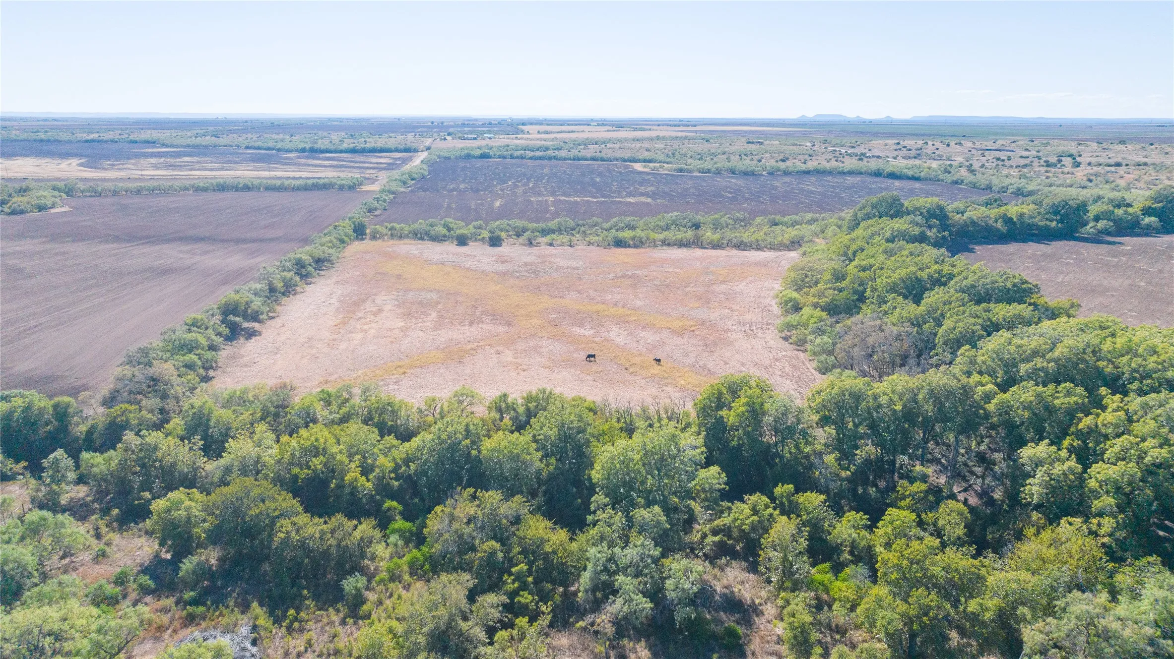 Expansive open land with varied vegetation, including mature trees and cultivated fields
