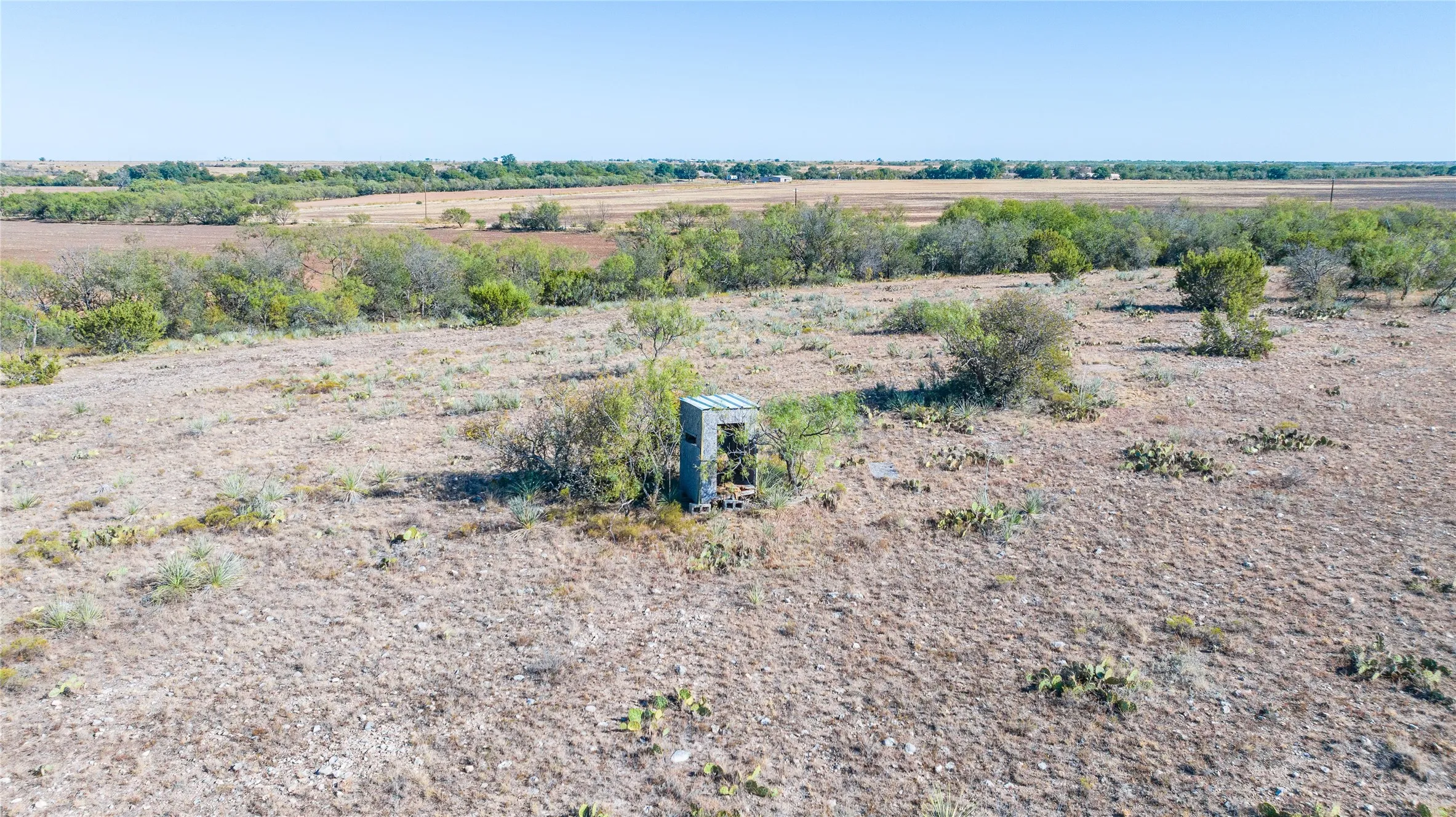Expansive open land featuring diverse vegetation and distant treelines