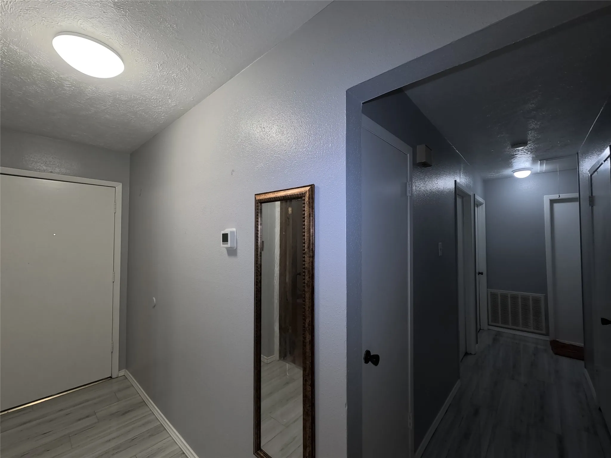 Gray wall paint with white trim, wood-finish flooring, and flush-mount ceiling lighting