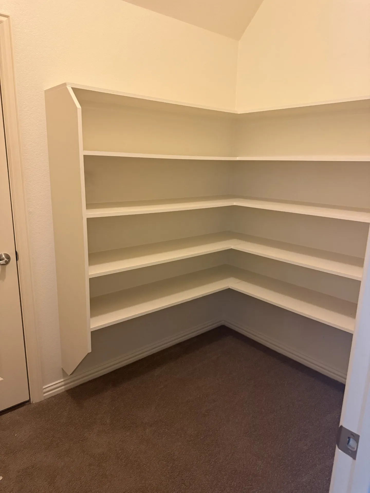 Built-in shelving with multiple levels, corner configuration, and carpet flooring