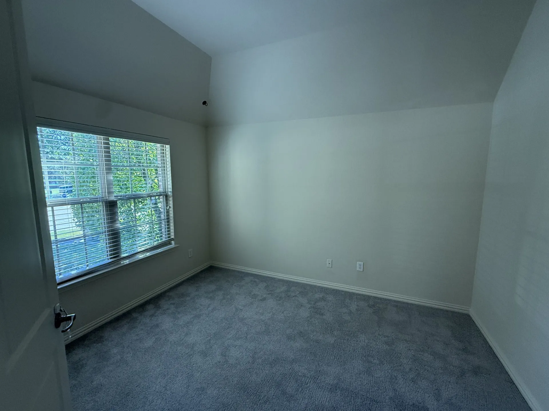 Vaulted ceiling, wall-to-wall carpeting, and a double-hung window with blinds