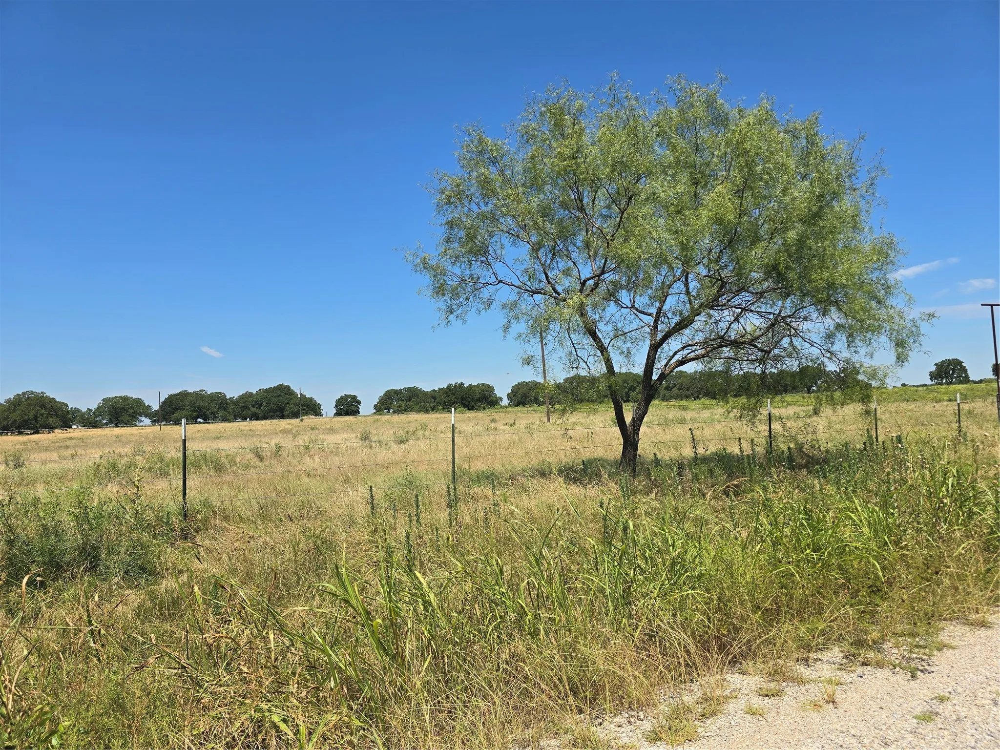 Unimproved Land For Sale in Wise County , 956 Cr-1990, Chico, Texas 76431, 0, 0, Garage spaces, 0 Sqft, built in 0, mls#21407258, Real Estate Agent in Chico, Homes For Sale in Wise county, Homes For Sale in Chico, Realtor in Chico Texas, Real Estate Brokerage Independent Realty Texas, Luminita Cordes Realtor