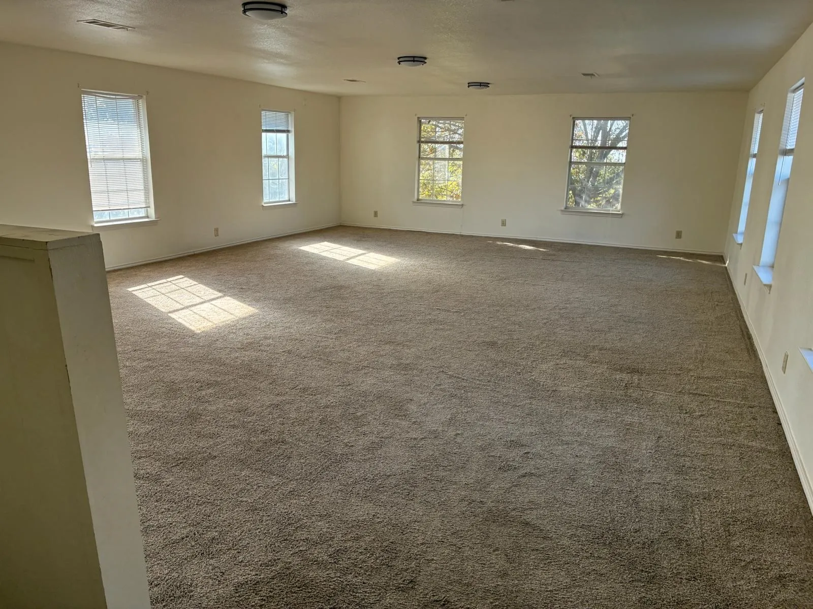 Carpeted spare room with healthy amount of natural light