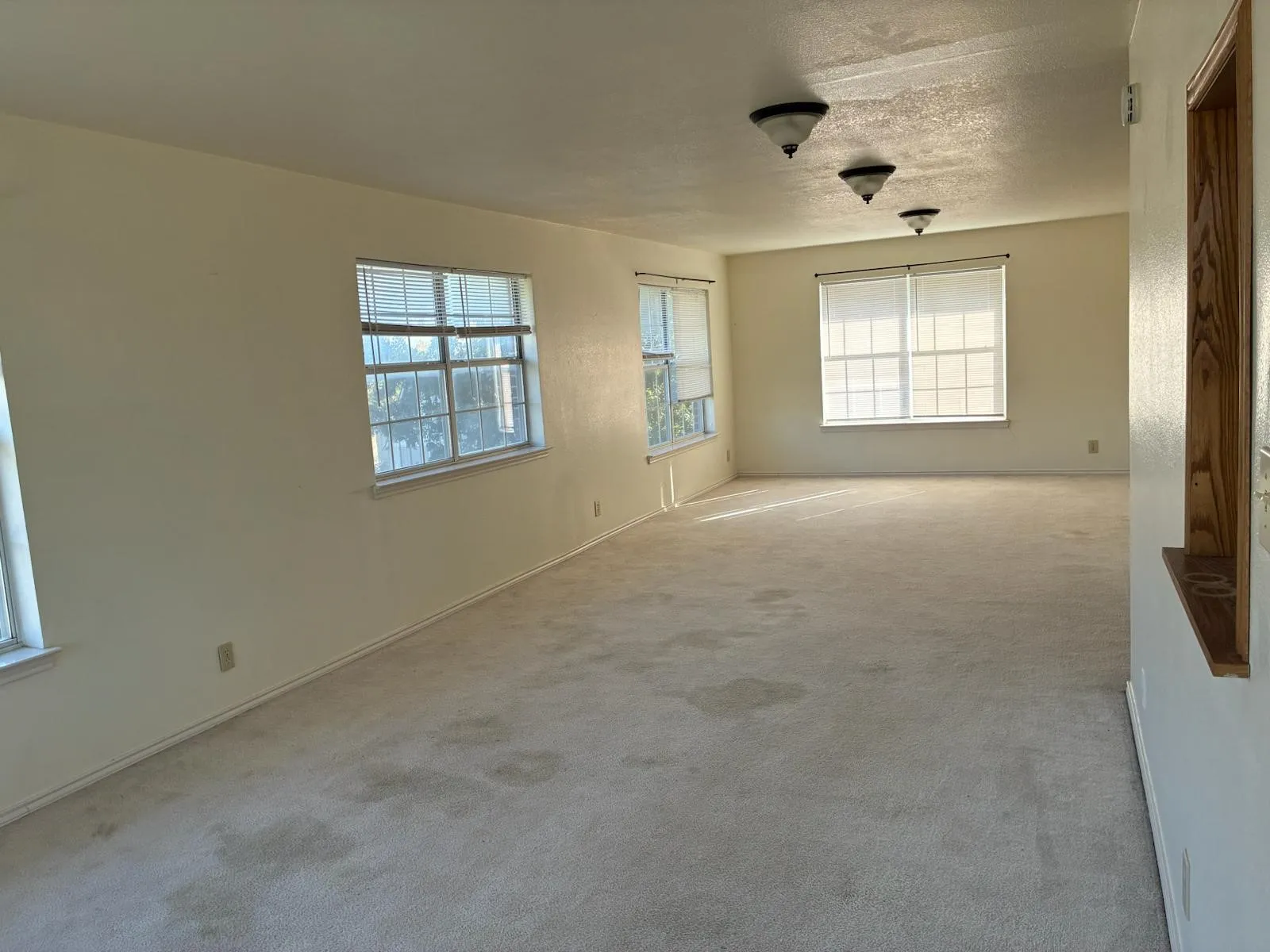 Spare room featuring carpet, a textured ceiling, and baseboard heating