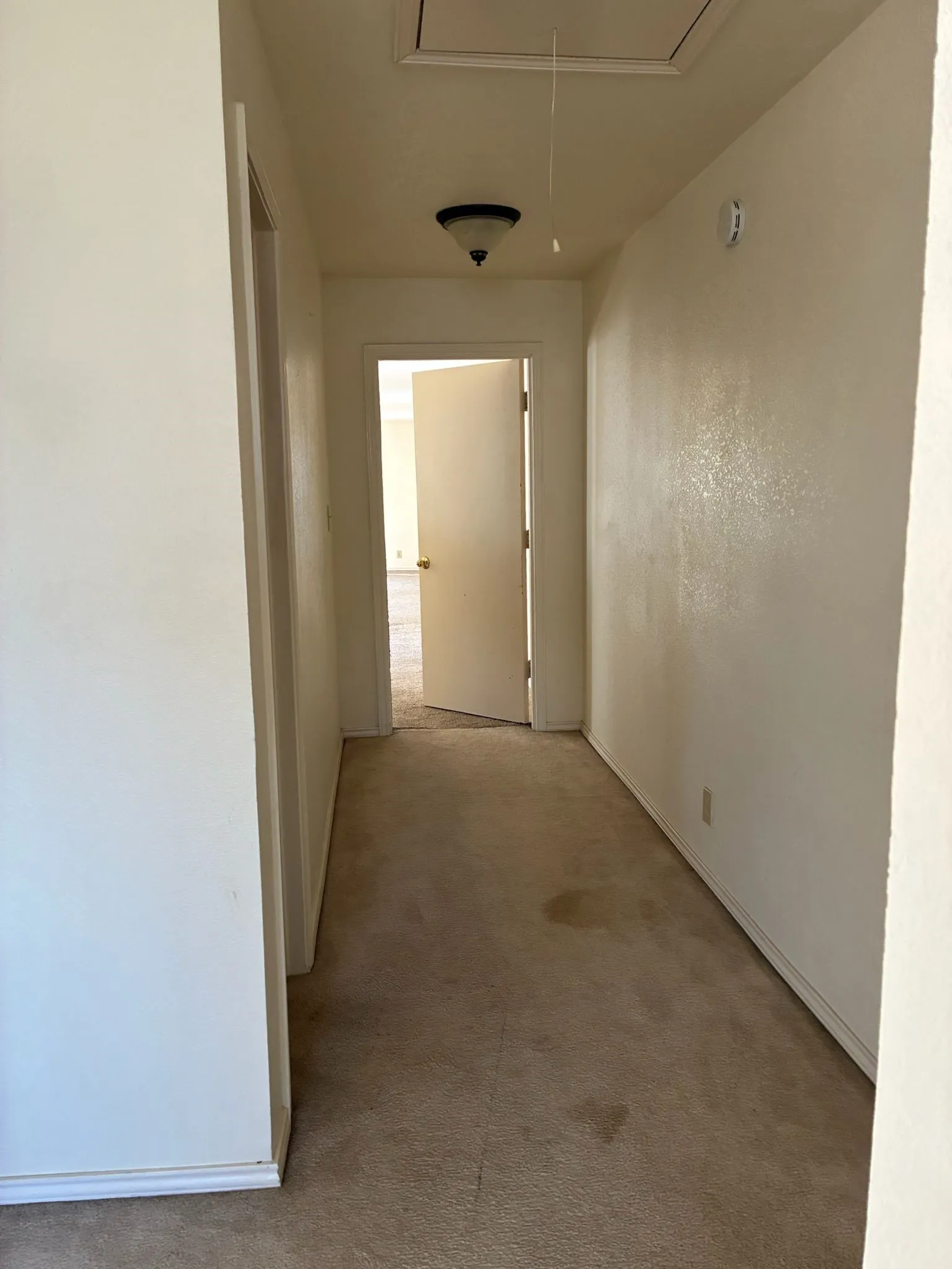 Hallway featuring attic access and carpet