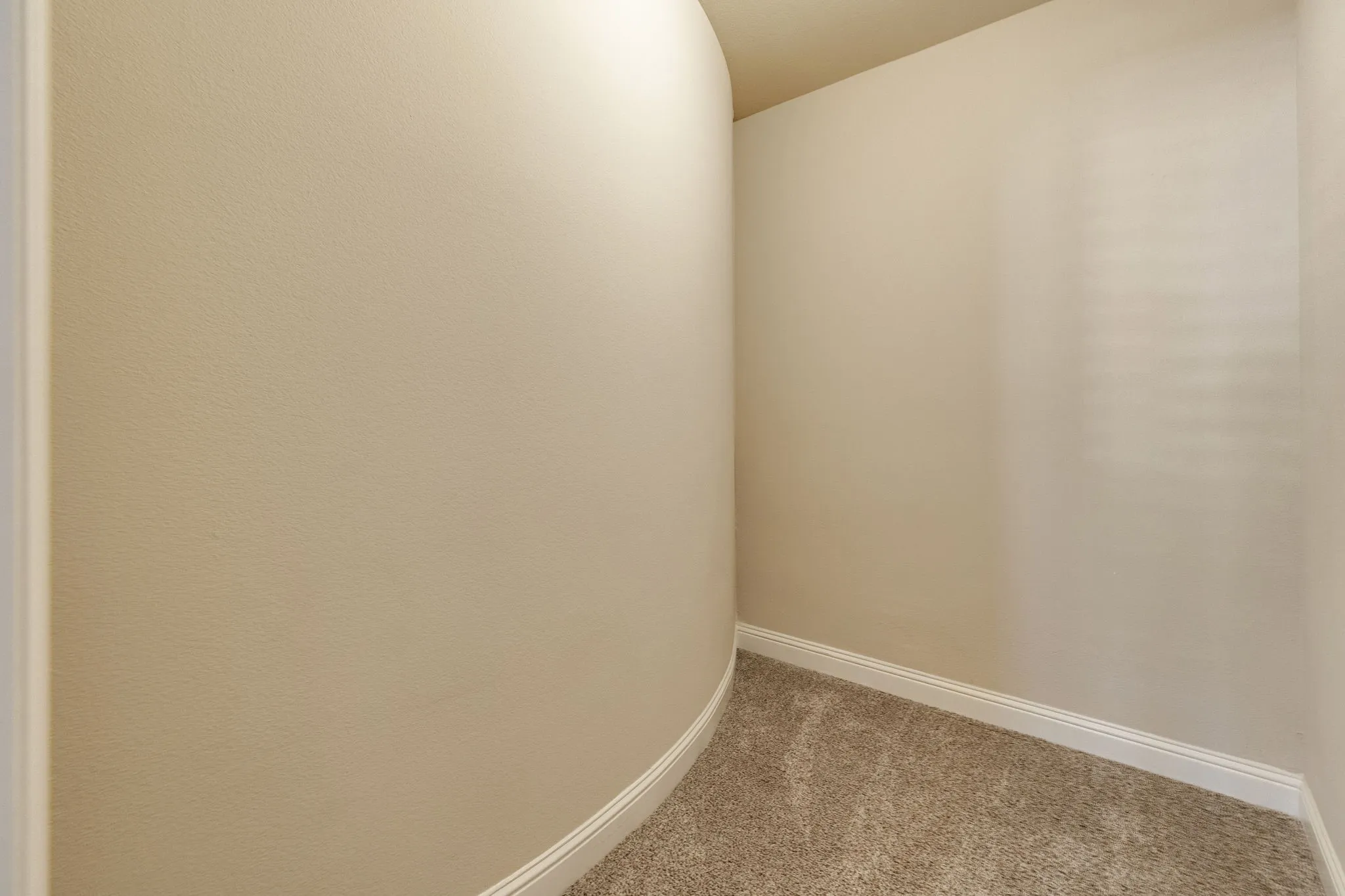 HUGE walking closet off of office