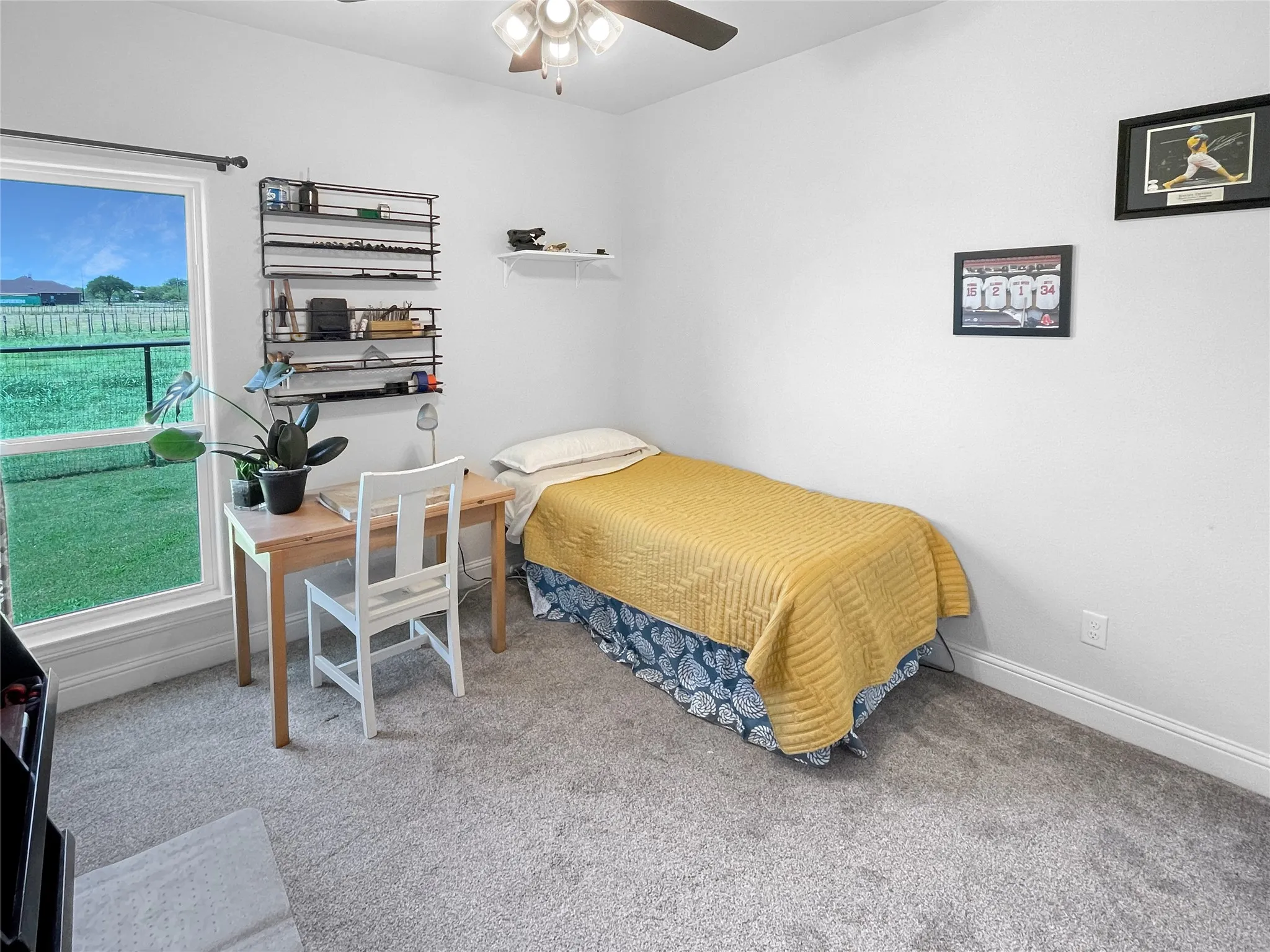 White walls, light gray carpeting, and a window with a green outdoor expanse