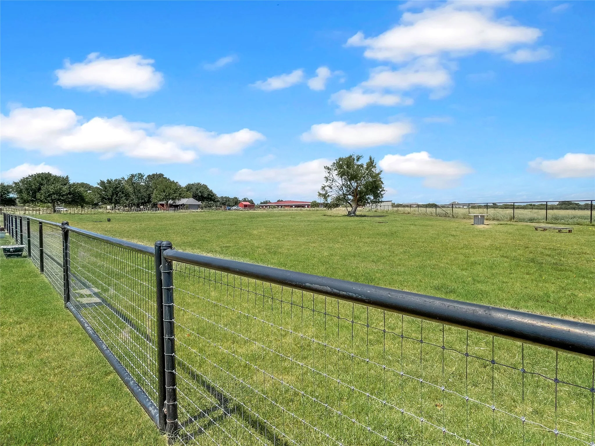 Expansive fenced pasture featuring a single tree and distant structures