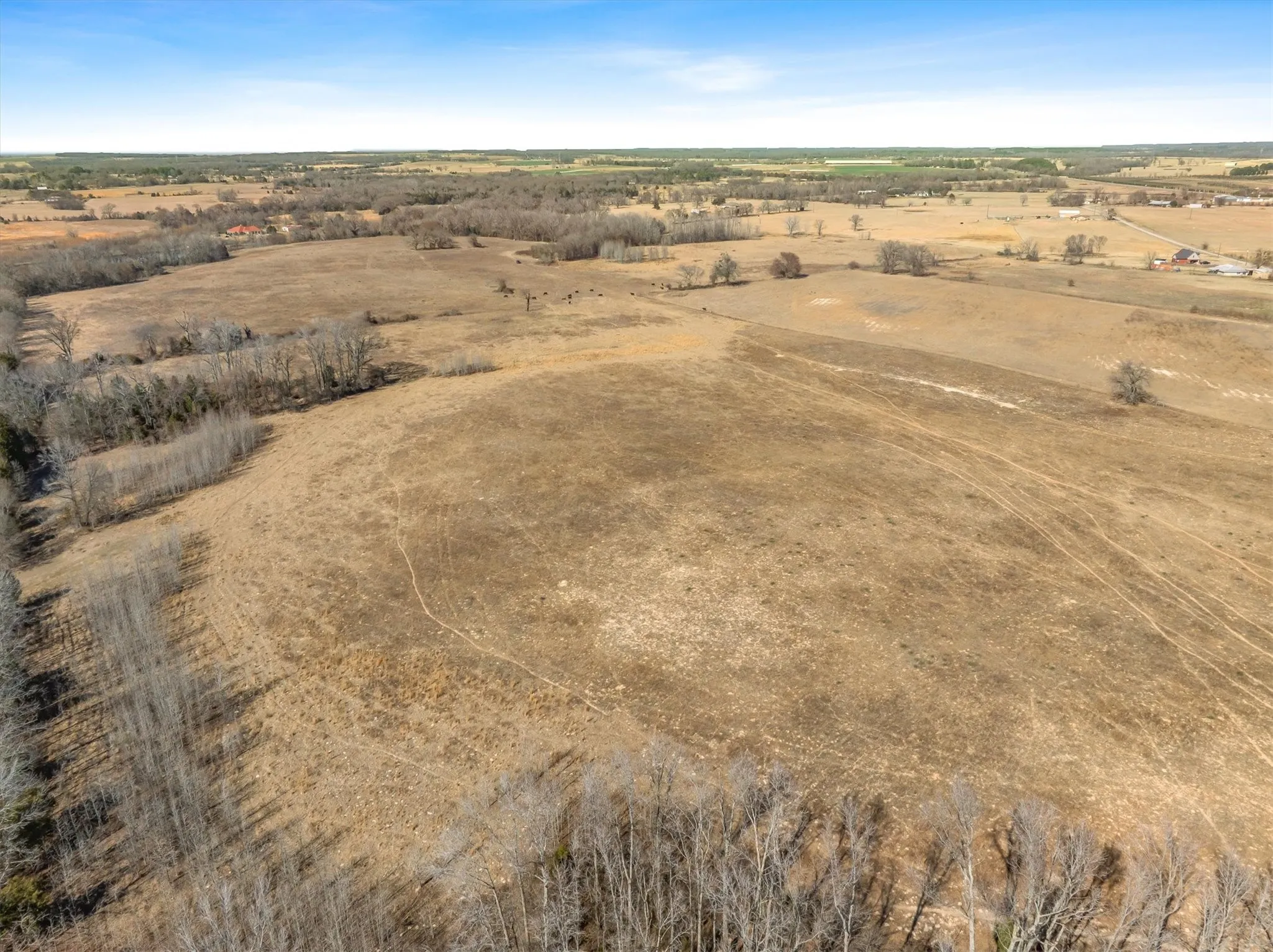 Unimproved Land For Sale in Van Zandt County , TBD VZ County Road 2317, Canton, Texas 75103, 0, 0, Garage spaces, 0 Sqft, built in 0, mls#21407274, Real Estate Agent in Canton, Homes For Sale in Van Zandt county, Homes For Sale in Canton, Realtor in Canton Texas, Real Estate Brokerage Independent Realty Texas, Luminita Cordes Realtor