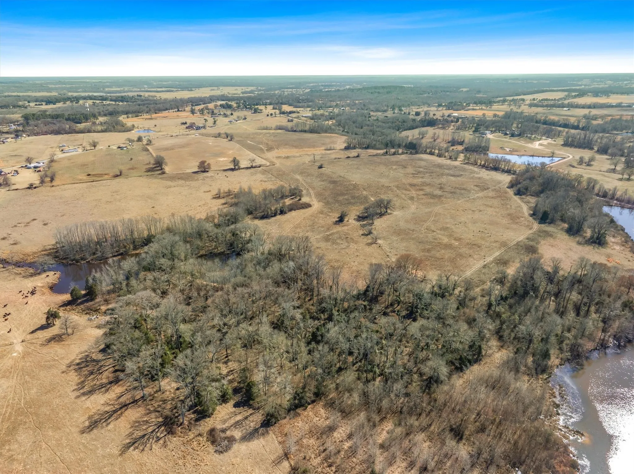 Unimproved Land For Sale in Van Zandt County , TBD VZ County Road 2317, Canton, Texas 75103, 0, 0, Garage spaces, 0 Sqft, built in 0, mls#21407274, Real Estate Agent in Canton, Homes For Sale in Van Zandt county, Homes For Sale in Canton, Realtor in Canton Texas, Real Estate Brokerage Independent Realty Texas, Luminita Cordes Realtor