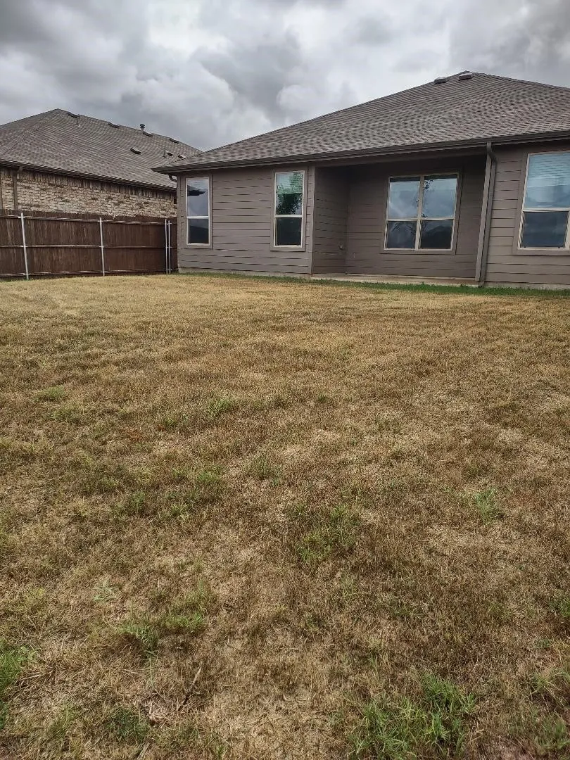 Single Family Residence For Rent in Wise County , 109 Blossom Trail, Boyd, Texas 76023, 3 Bedroom, 2 Bathroom, 2 Garage spaces, 1,449 Sqft, built in 2024, mls#21402822, Real Estate Agent in Boyd, Homes For Rent in Wise county, Homes For Rent in Boyd, Realtor in Boyd Texas, Real Estate Brokerage Independent Realty Texas, Luminita Cordes Realtor